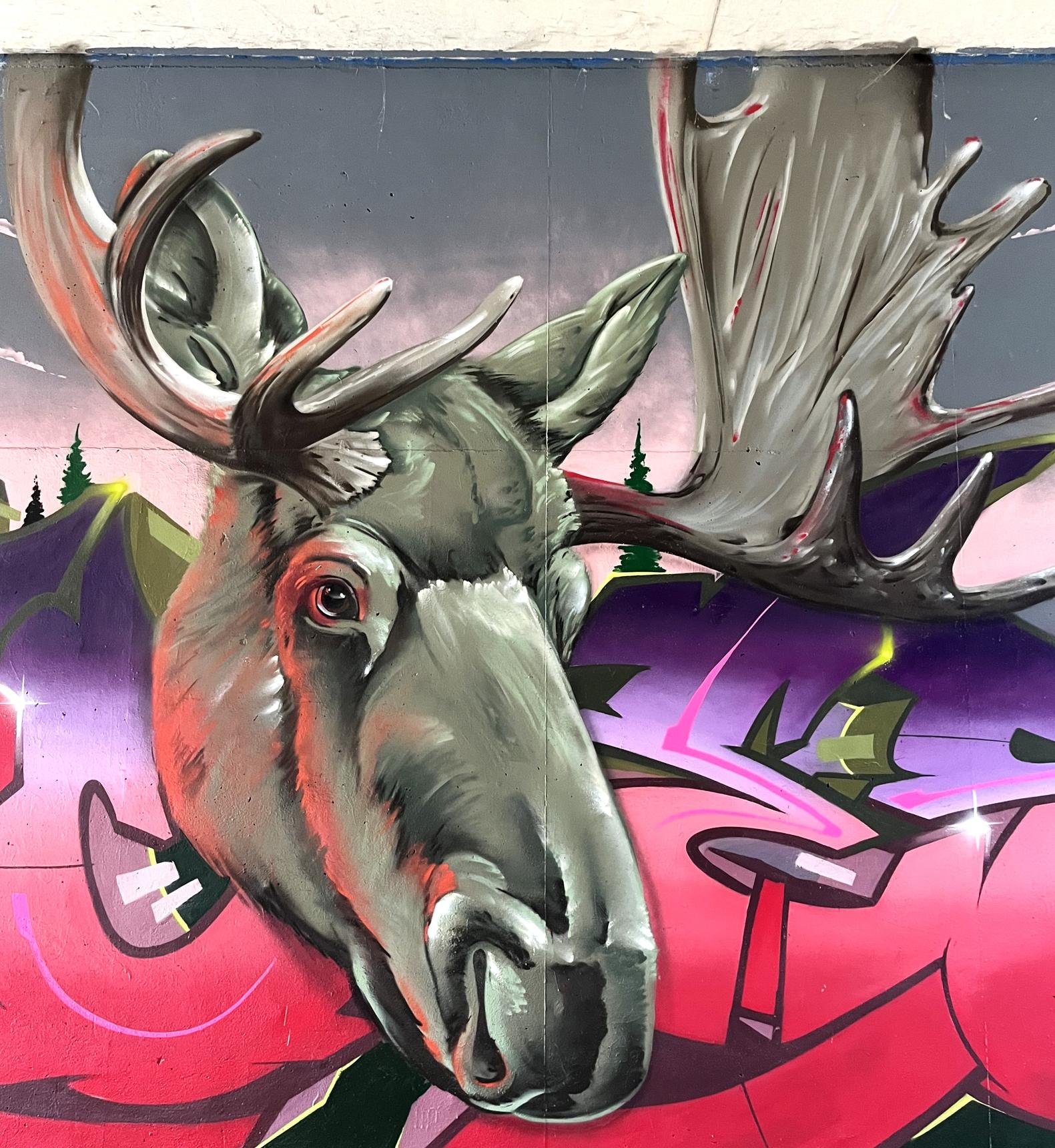 Aces—undefined
