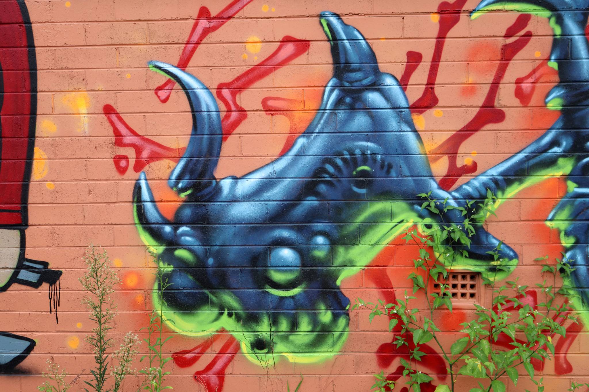 Unknown - Port Macquarie&mdash;Science Graffiti Gang