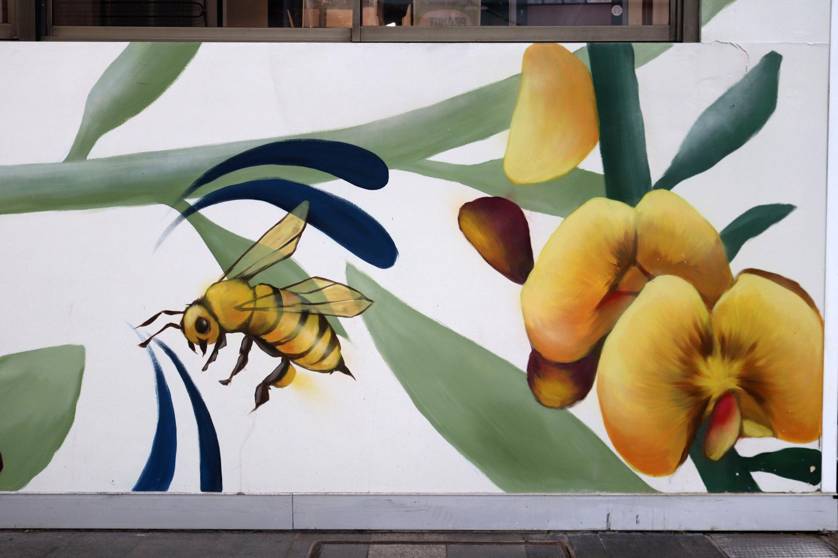 Stynabyna—Bees and Peas