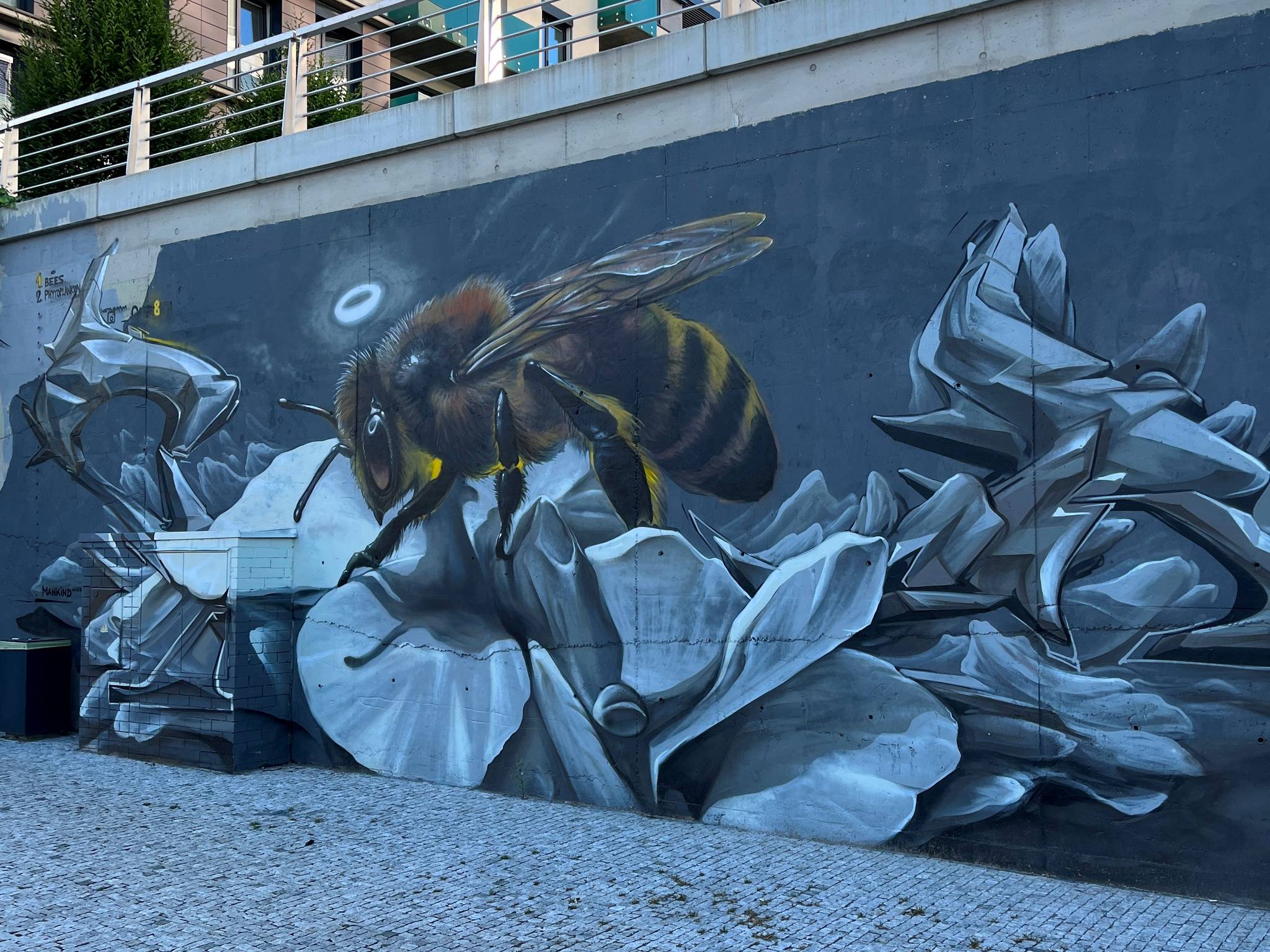 Caer8th&mdash;Bee on concrete flower