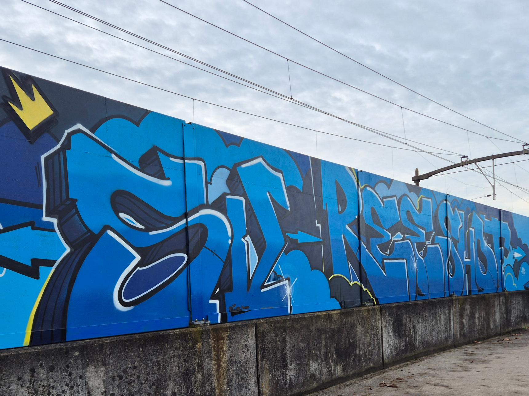 Avid Mouse—SV Reeshof