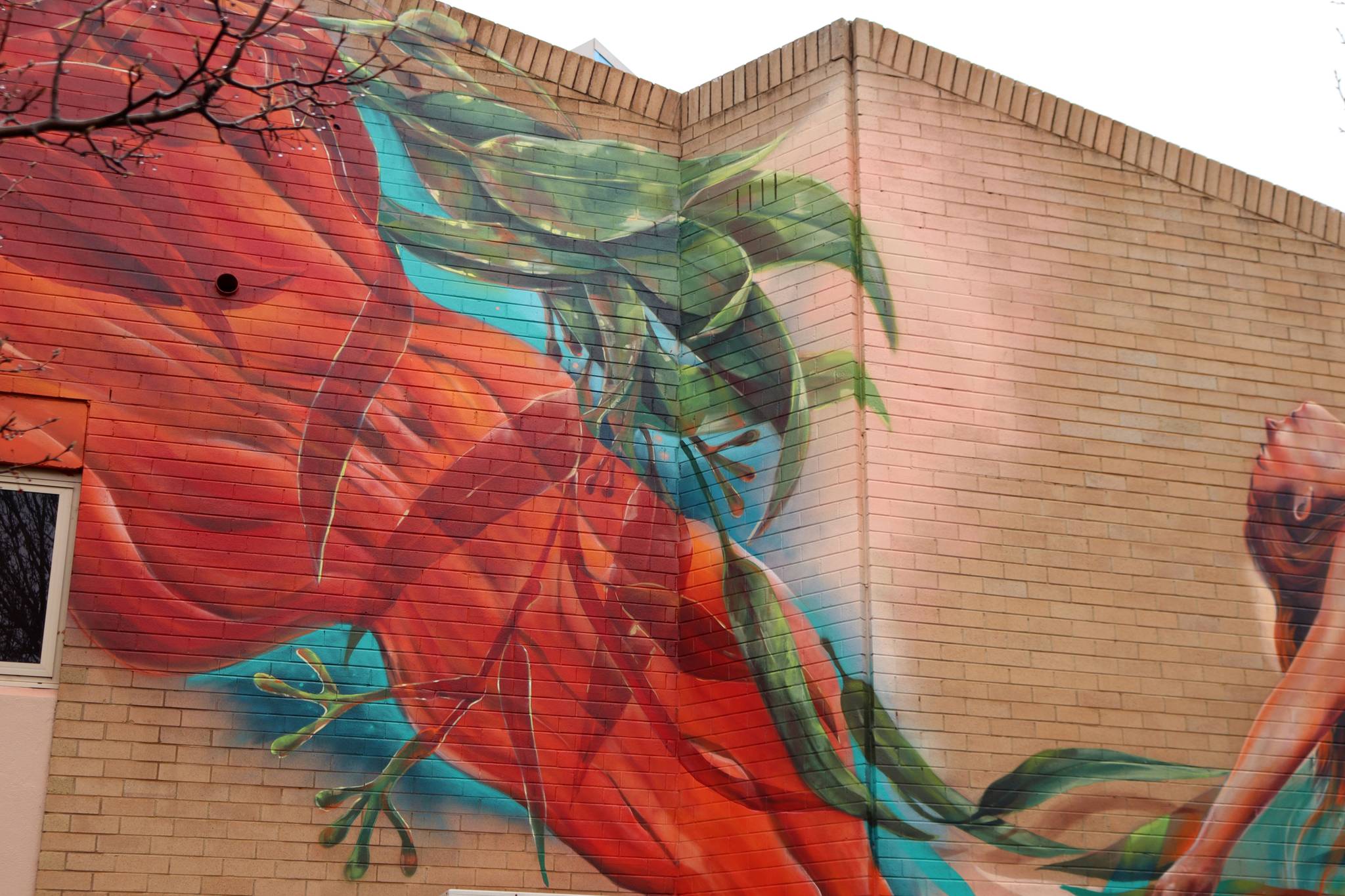 Drapl, The Zookeeper, The Brightsiders&mdash;Cowra Civic Square Mural