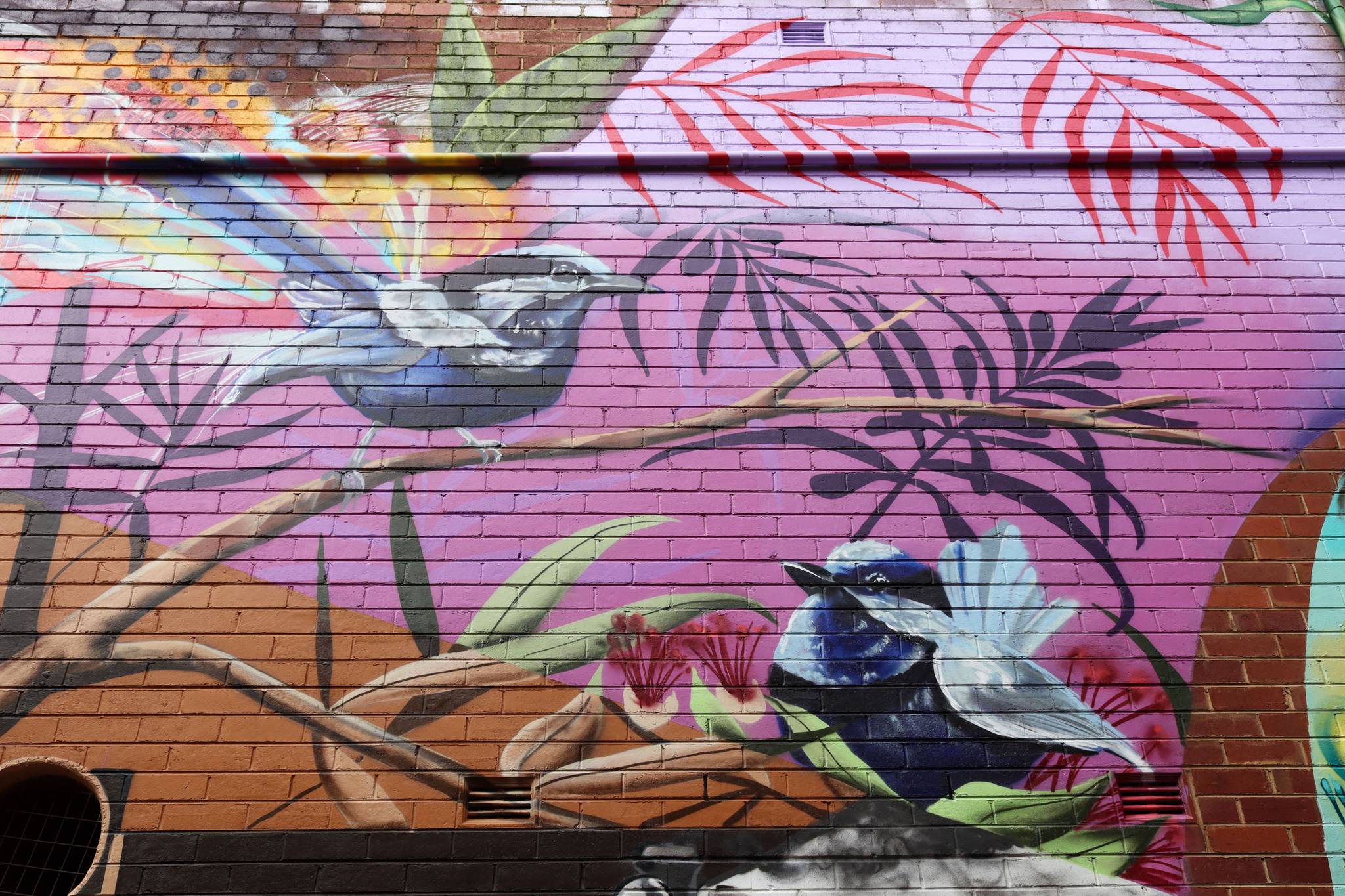 The Brightsiders, The Zookeeper, Drapl&mdash;Cowra Laneway Mural