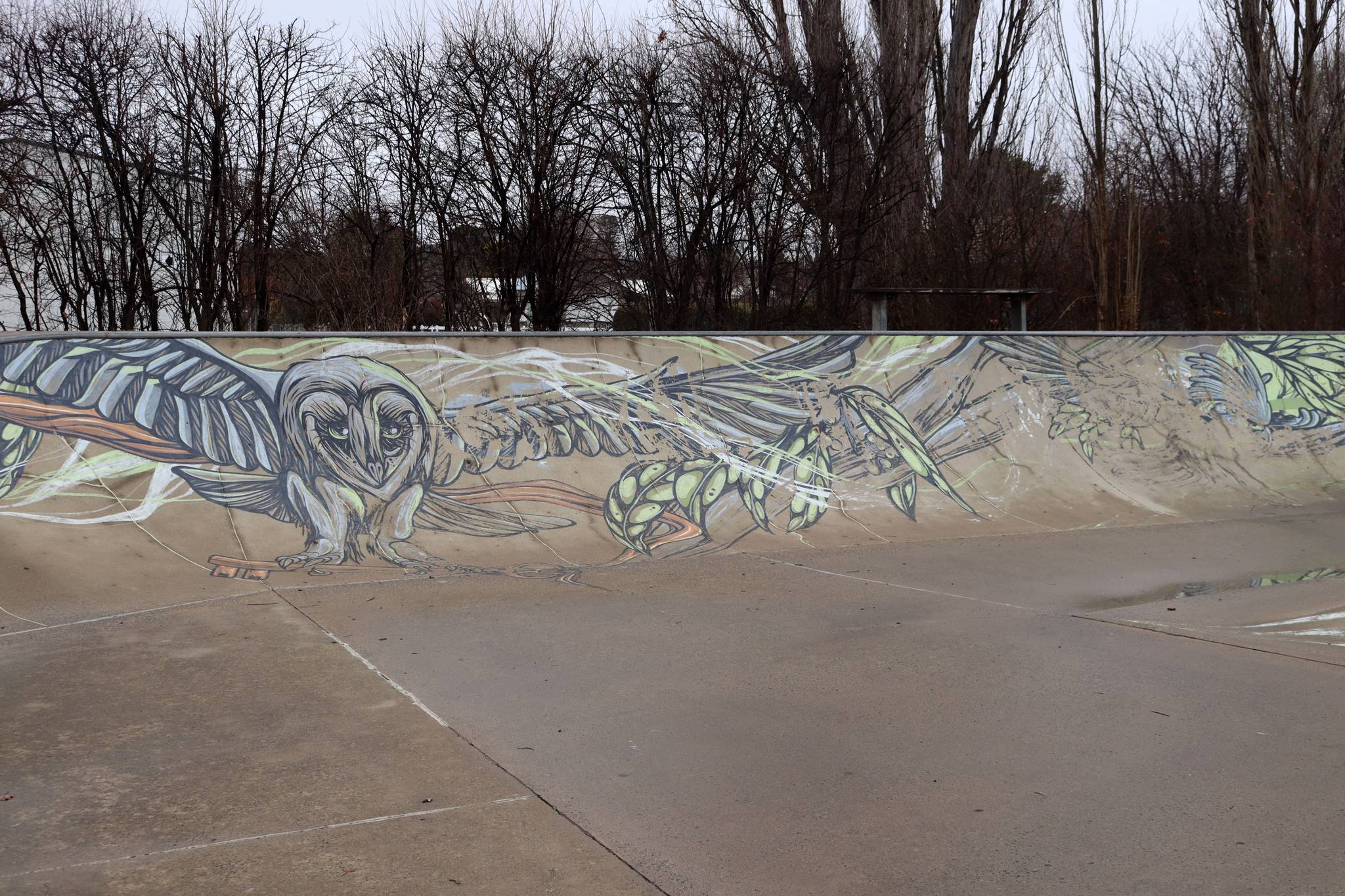 Mike Shankster&mdash;Berridale Skatepark