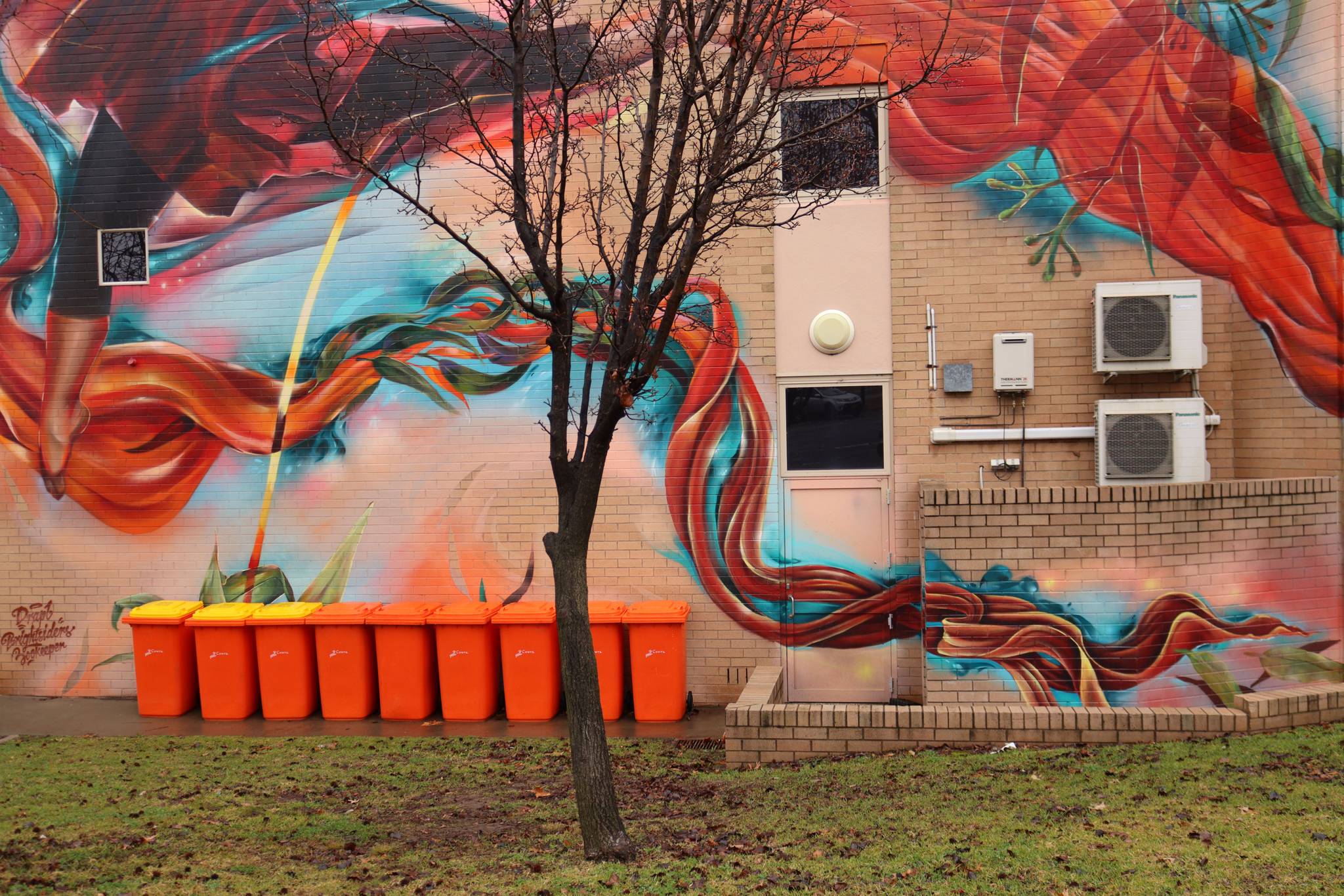 Drapl, The Zookeeper, The Brightsiders&mdash;Cowra Civic Square Mural