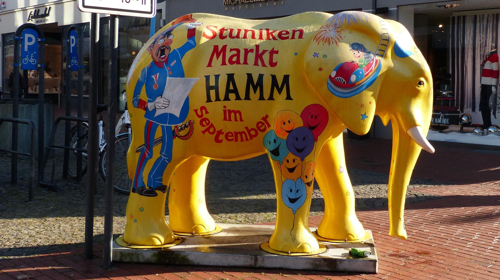 Unknown - Hamm—Elephant Sternstrasse / Weststrasse