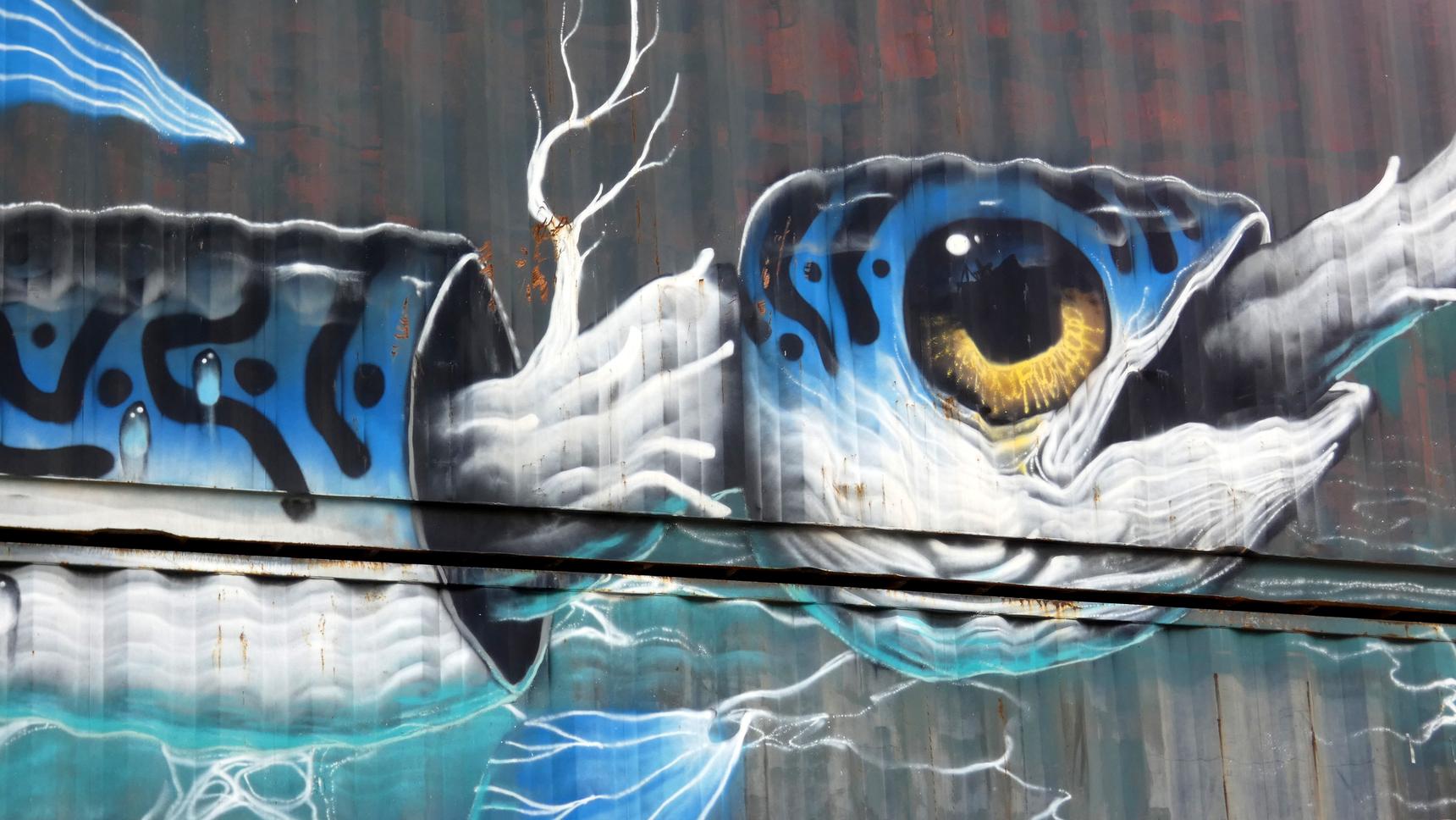 Veks Van Hillik—Poissons - Science-fiction et introspection