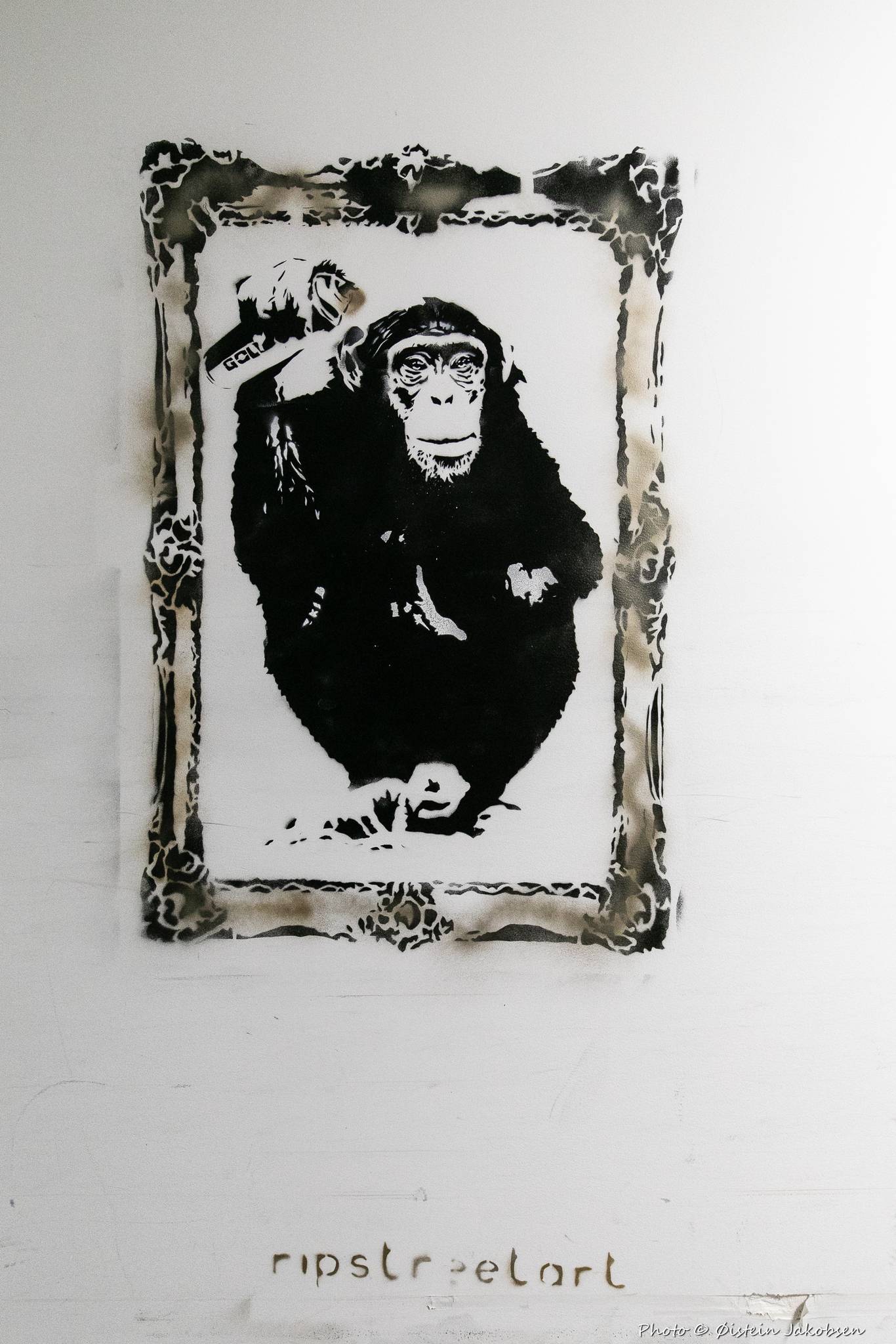 RIP_streetart&mdash;Spray Monkey