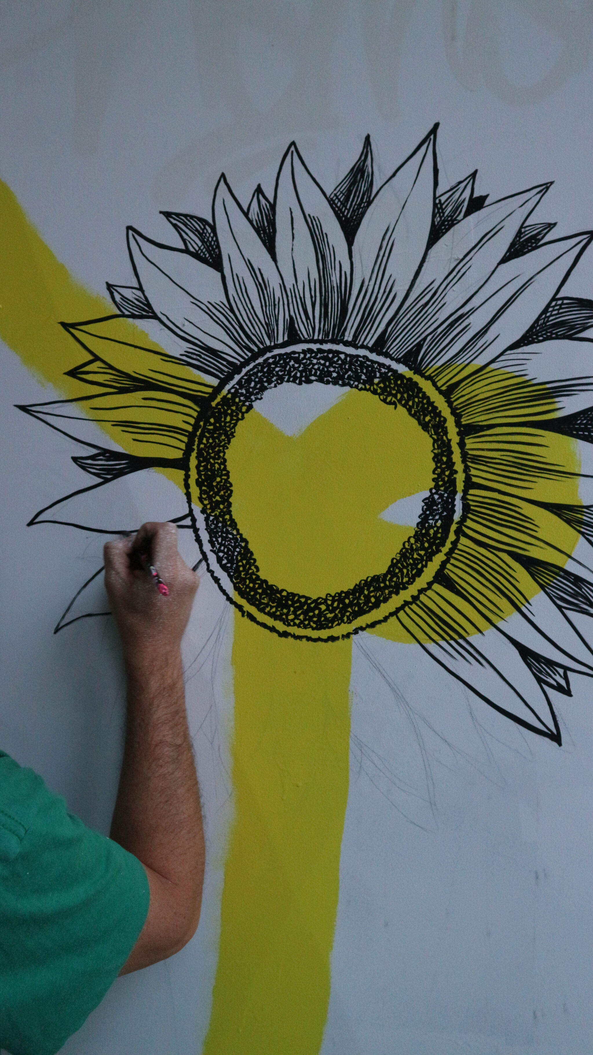 Alex Kataras, Fors&mdash;Sunflower