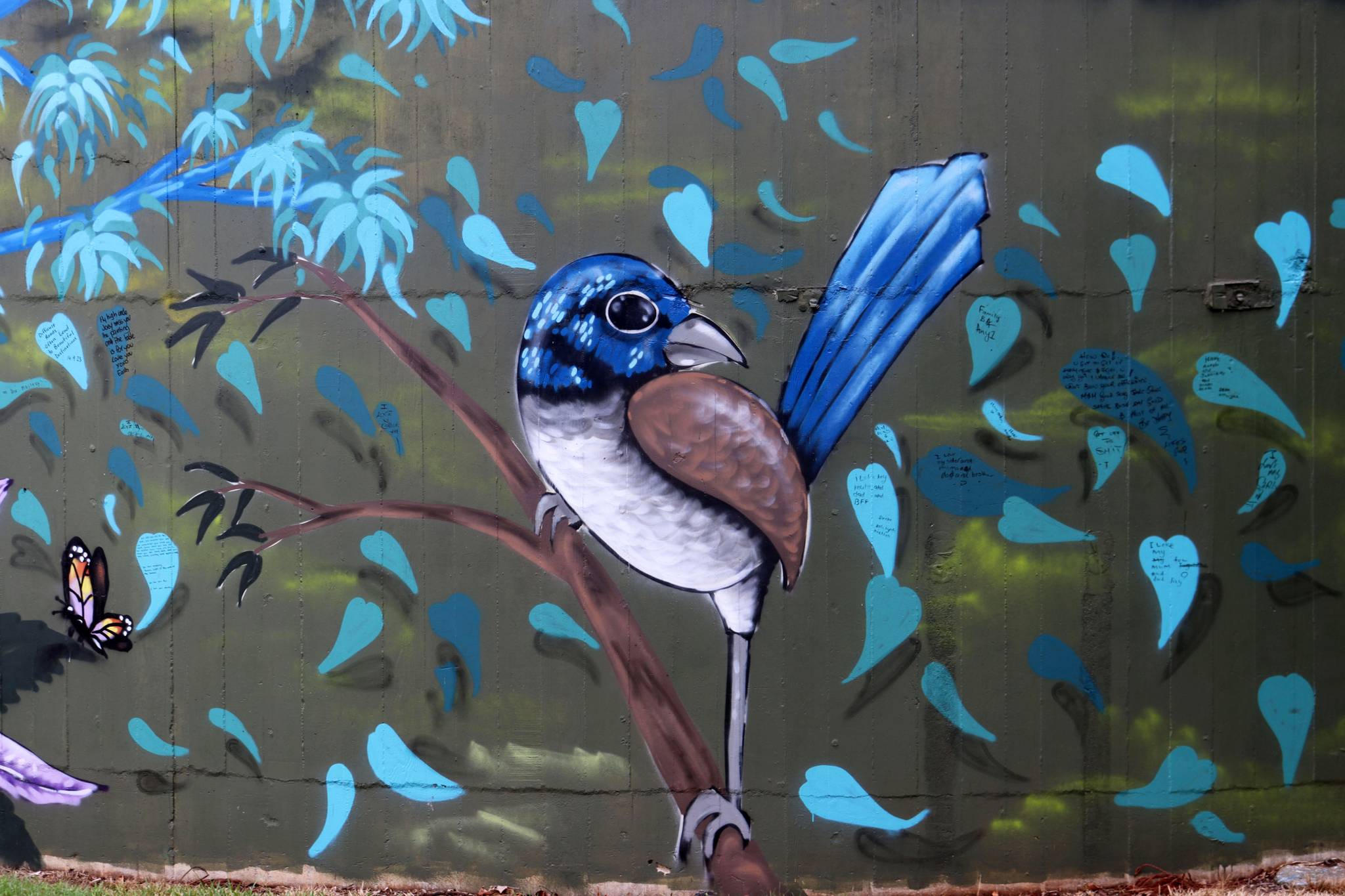 Damon Moroney&mdash;Macleay Valley Blue Tree Project