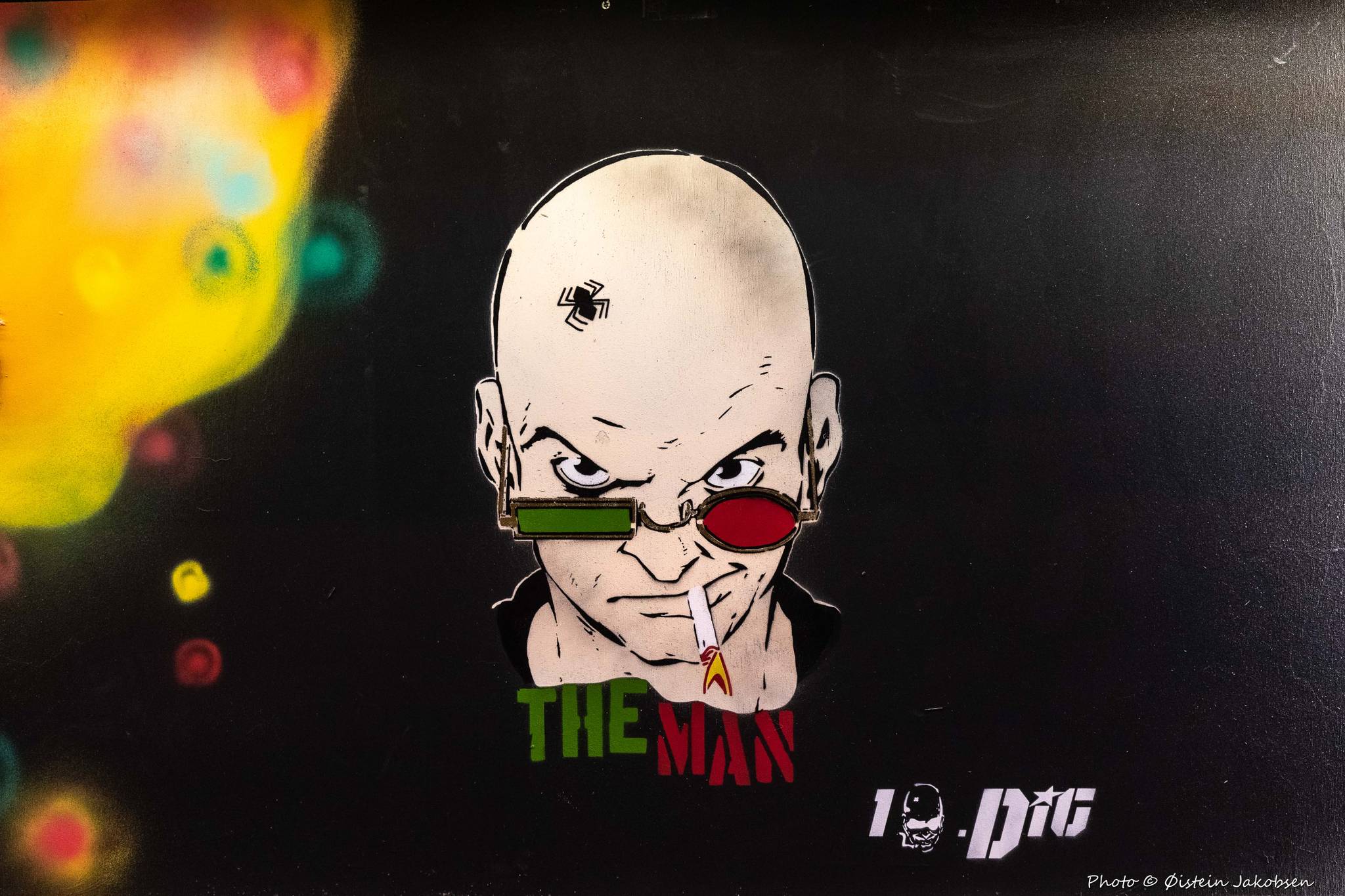 10.Dig&mdash;The Man