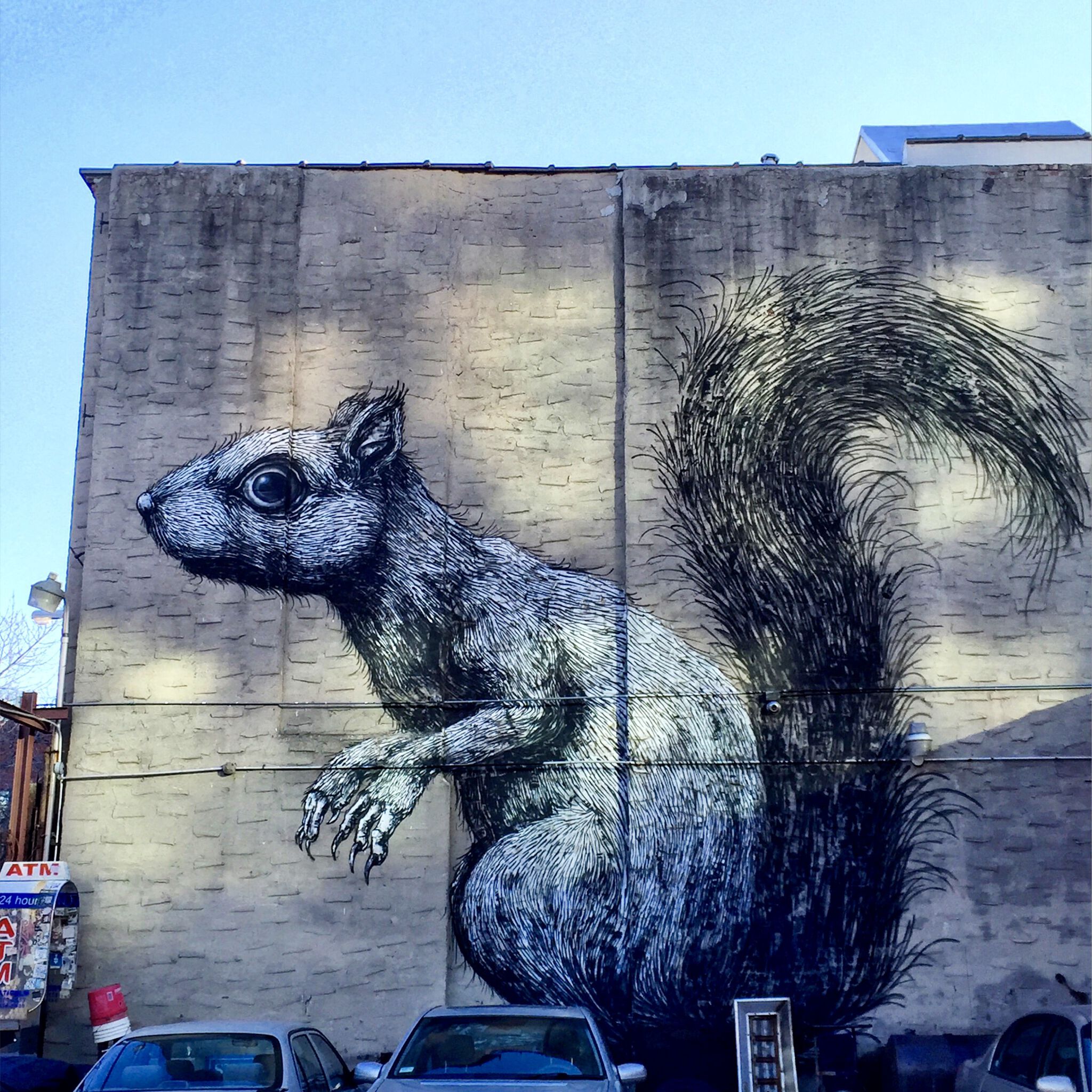 Roa&mdash;Squirrel 