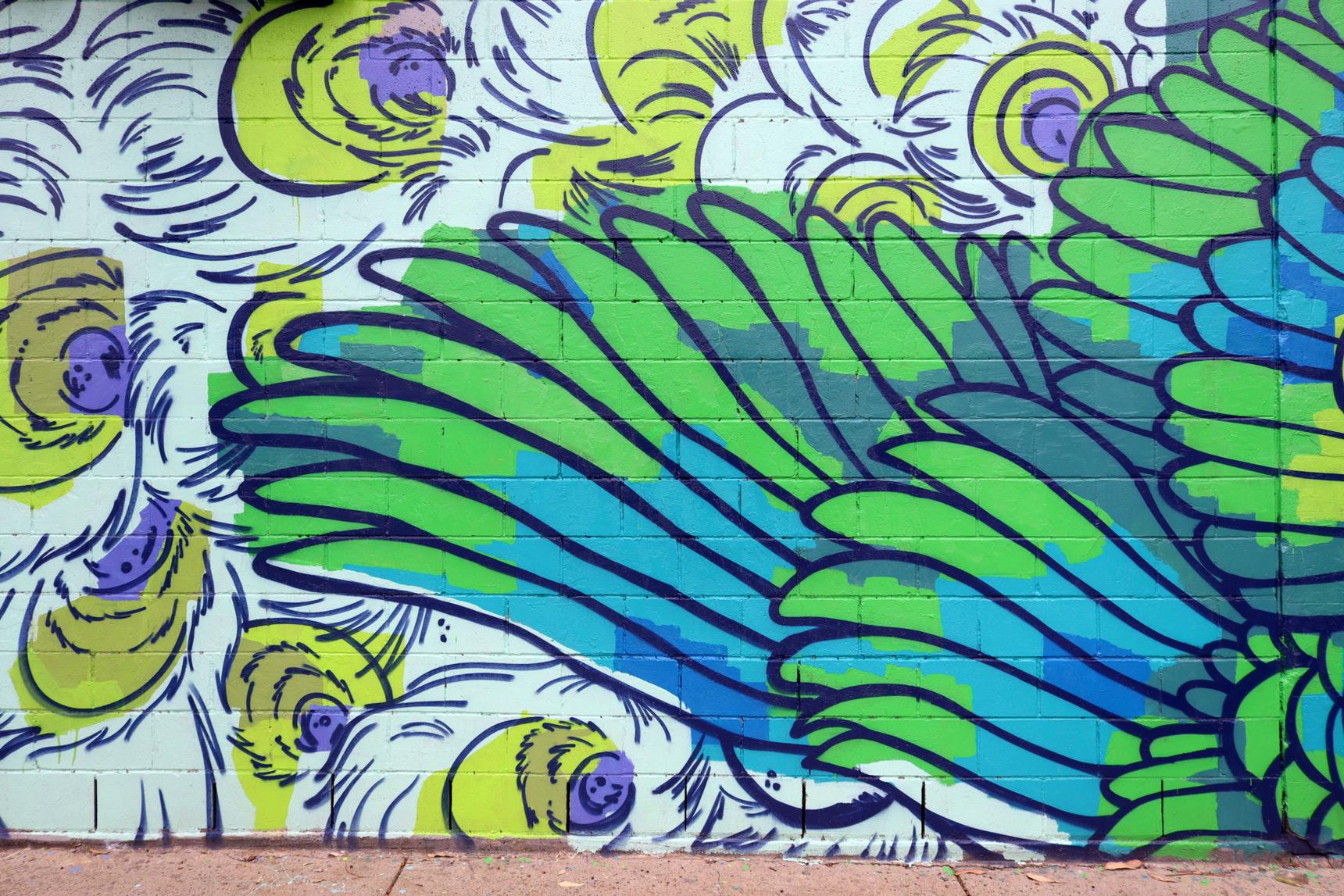 JESWRI—Fly, Peacock, Fly