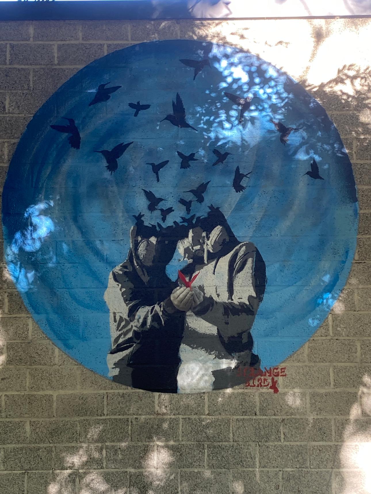 Strange Bird—The Family Circle
