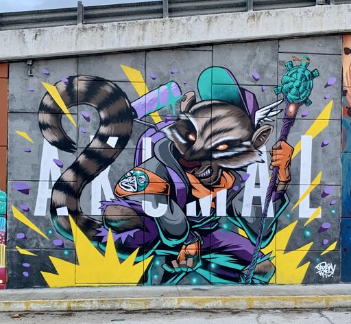 Urban Coati
