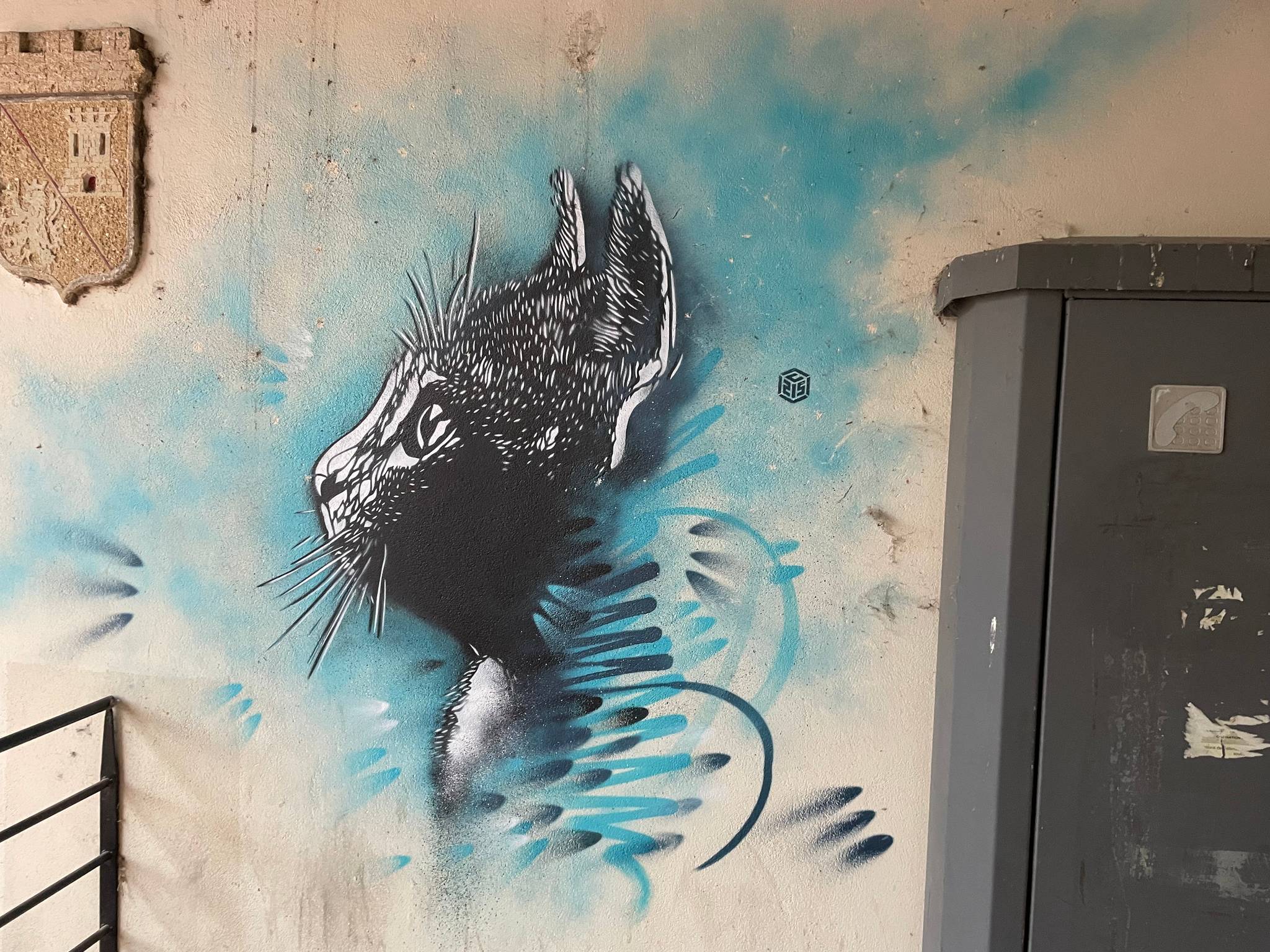 C215&mdash;undefined