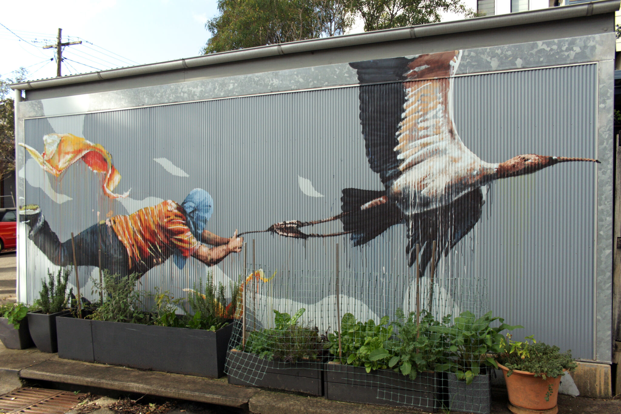 Fintan Magee&mdash;Discovering Flight