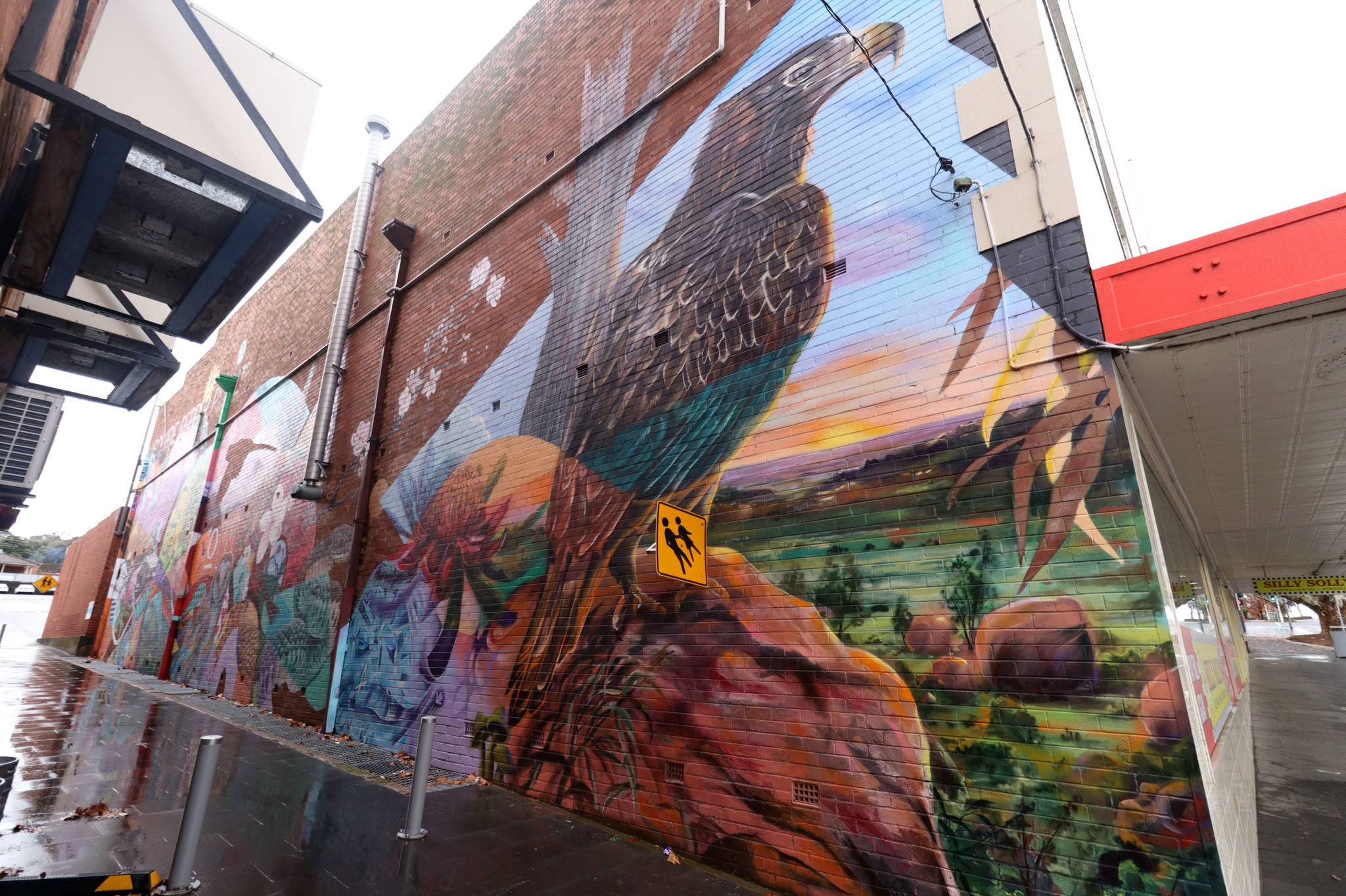 The Brightsiders, The Zookeeper, Drapl&mdash;Cowra Laneway Mural