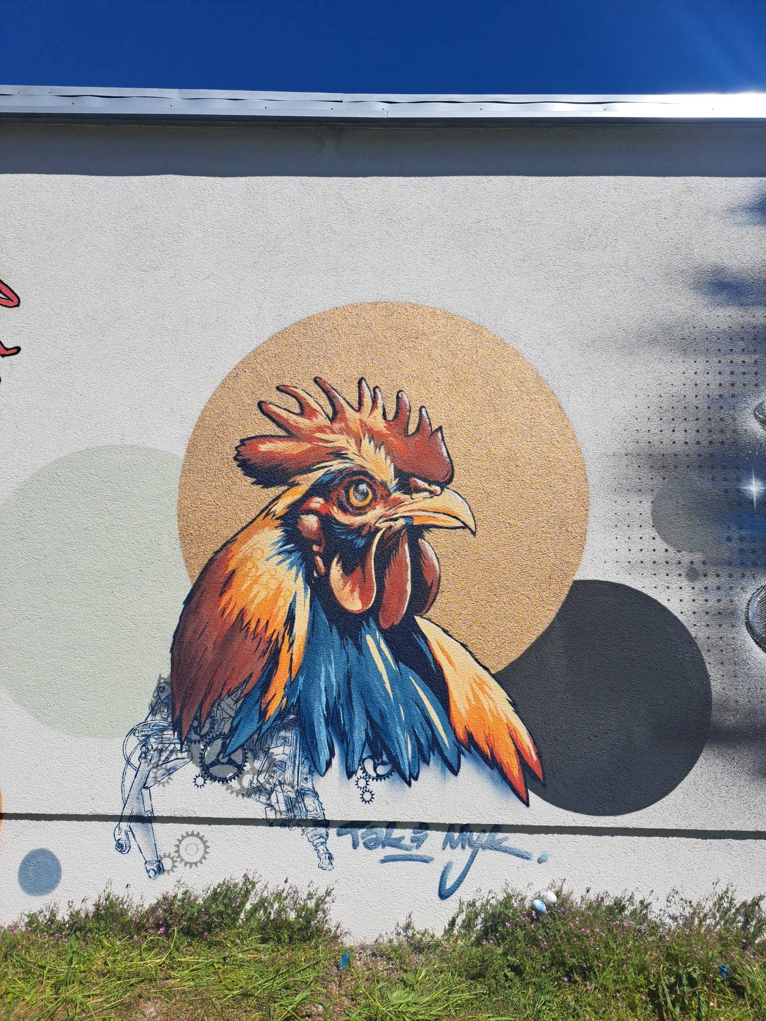 Taki Myk&mdash;Rooster