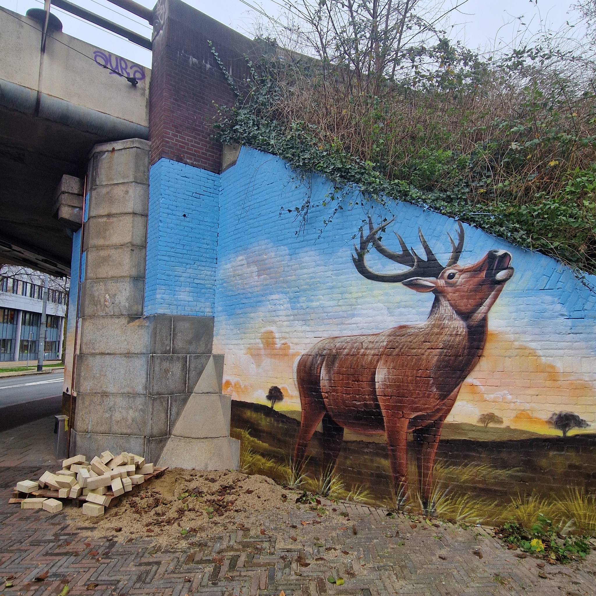 Arnhem Art, Dopie.dsk, Esone&mdash;undefined