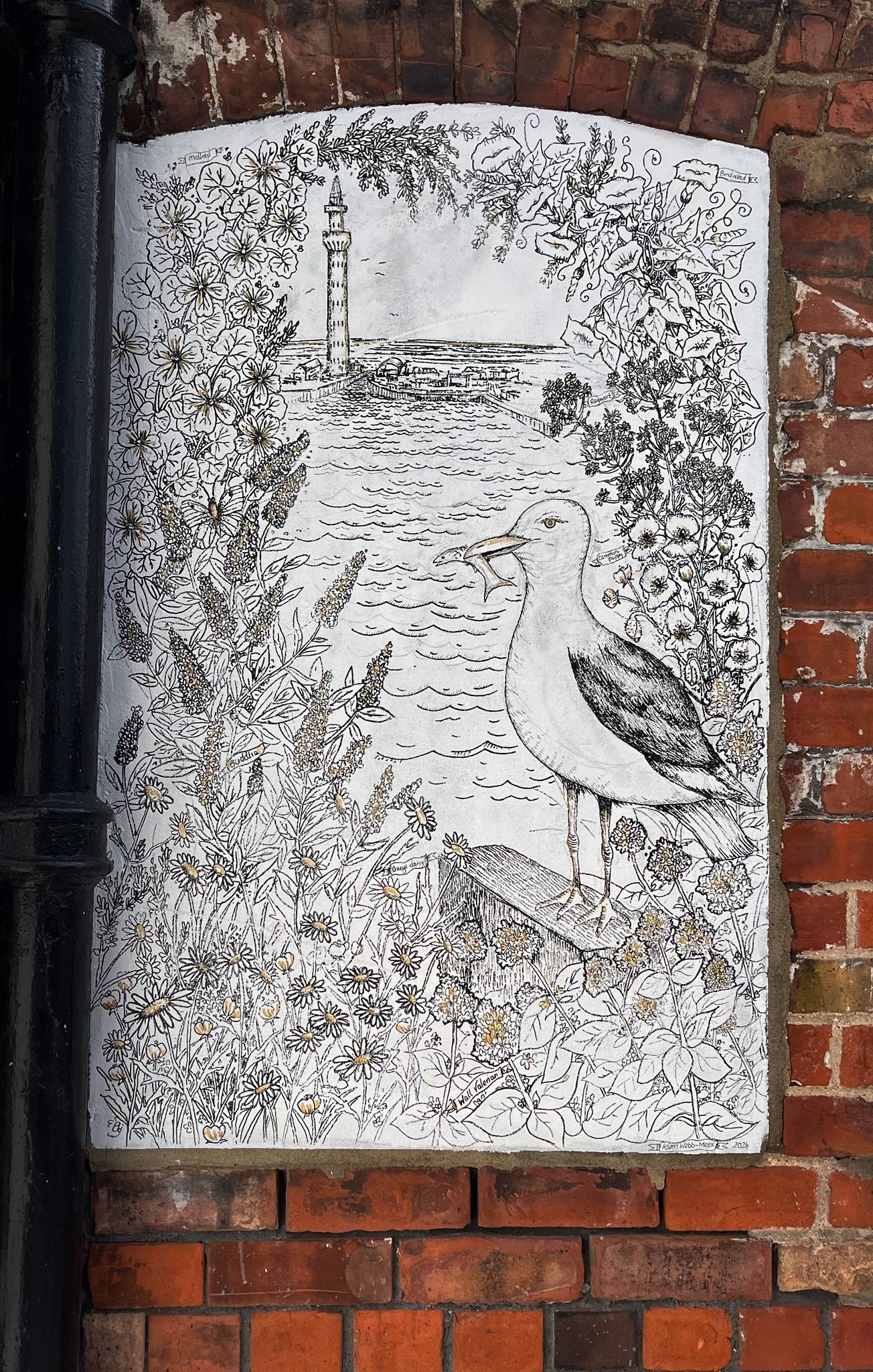 Karen Webb-Meek&mdash;Herring Gull at Grimsby Docks