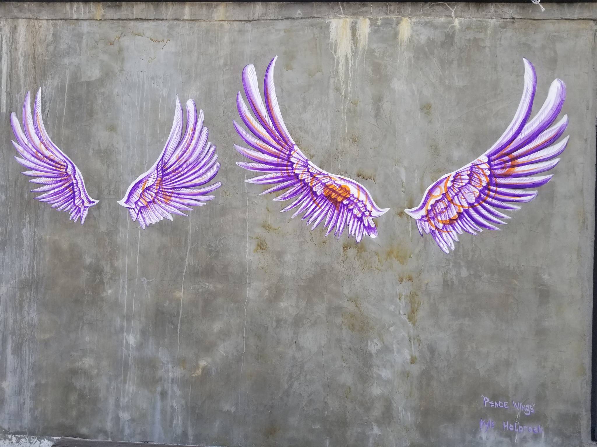 Kyle Holbrook&mdash;Peace Wings of Seoul 