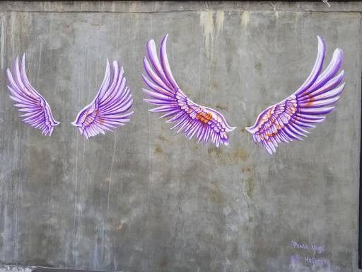 Peace Wings of Seoul 