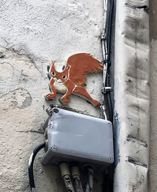 Zek Squirrel