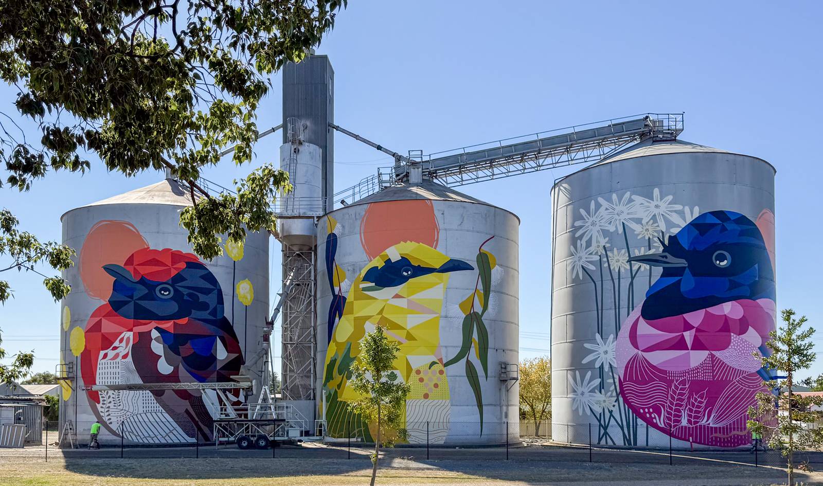 Ronan Holdsworth—Rutherglen Silos - Birds of Seasons