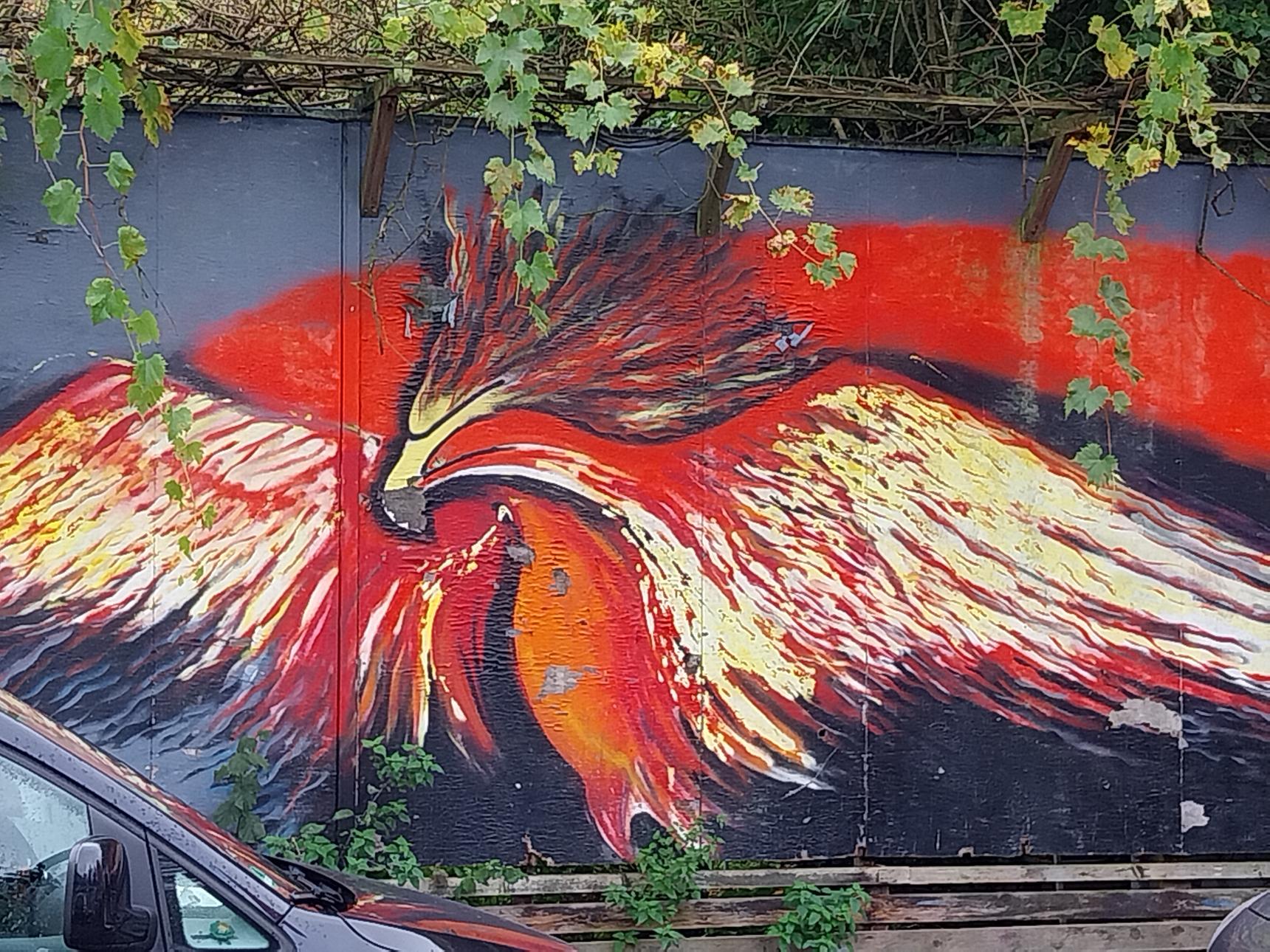 Karla Christoph—Phoenix