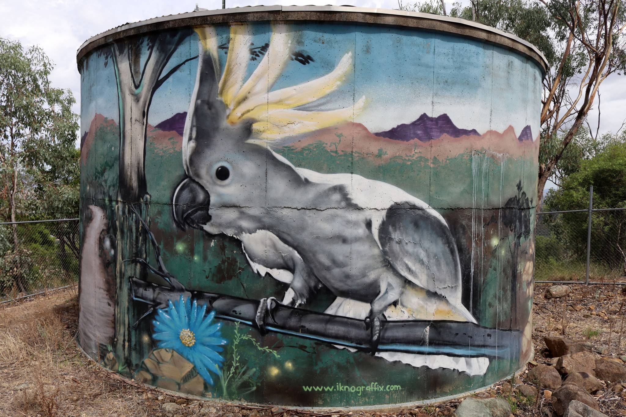 Damon Moroney, James Moulton&mdash;Tamworth Water Tank Art