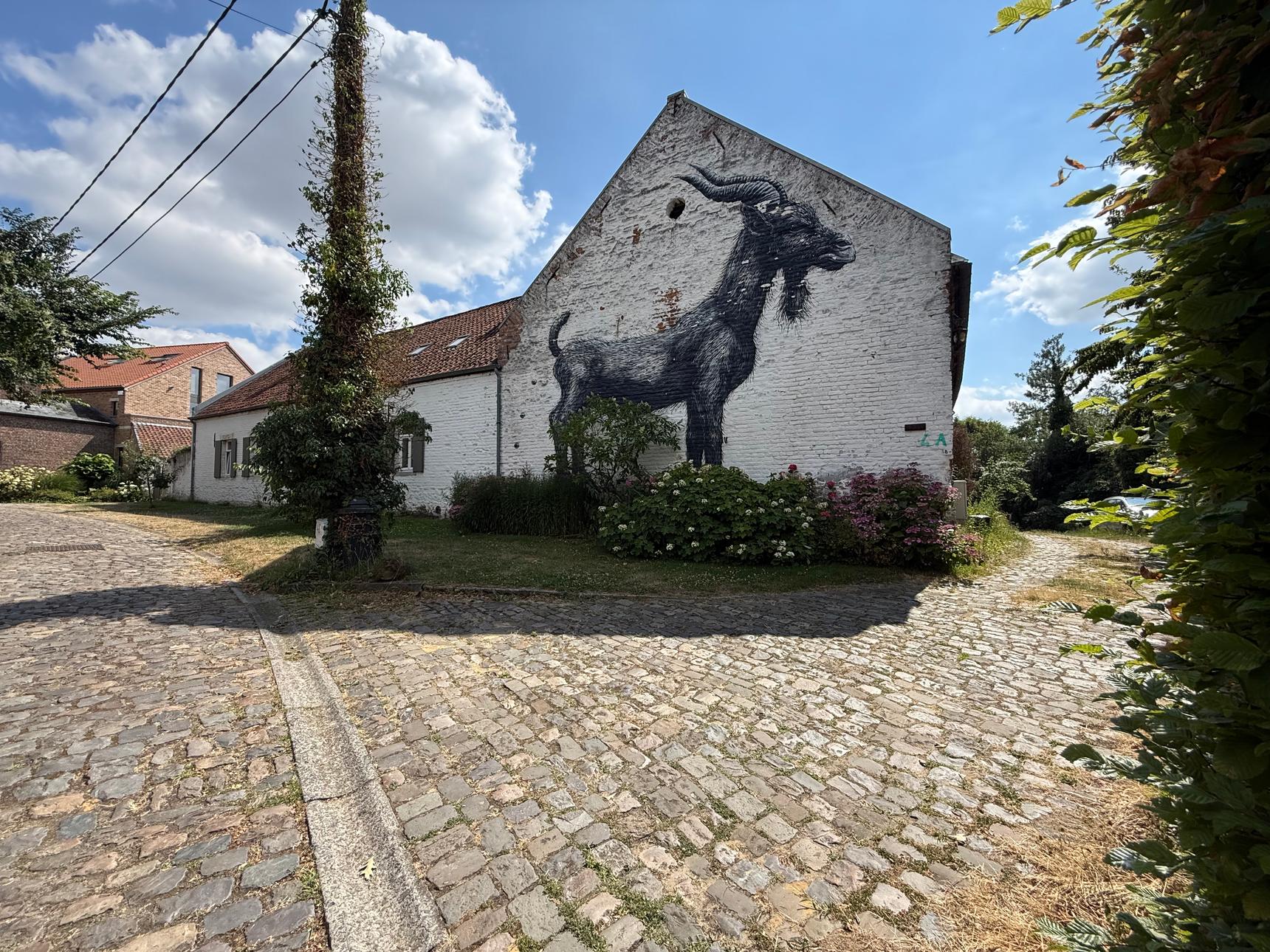 ROA—undefined