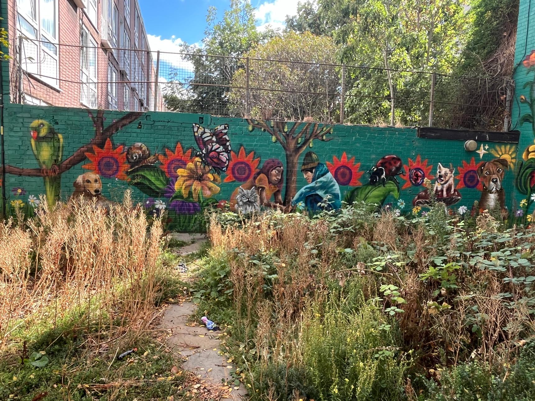 Shiraaz Ali—Growing Together