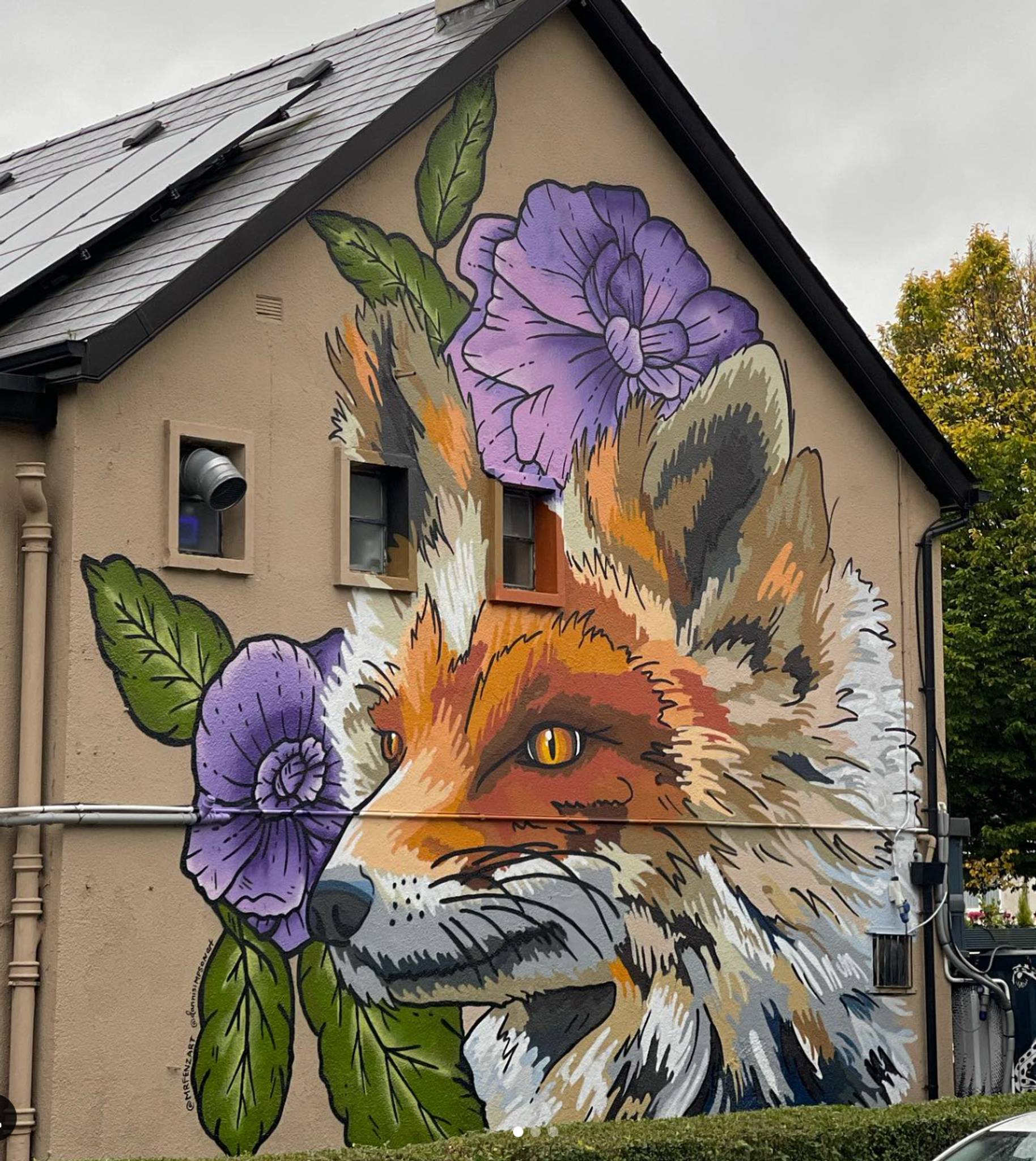 Danni Simpson&mdash;Cavehill Fox