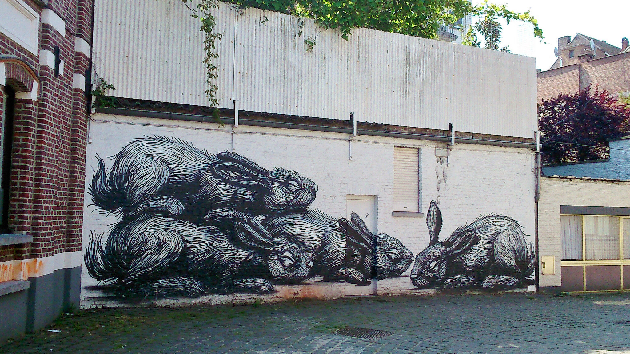 Roa&mdash;The Rabbits
