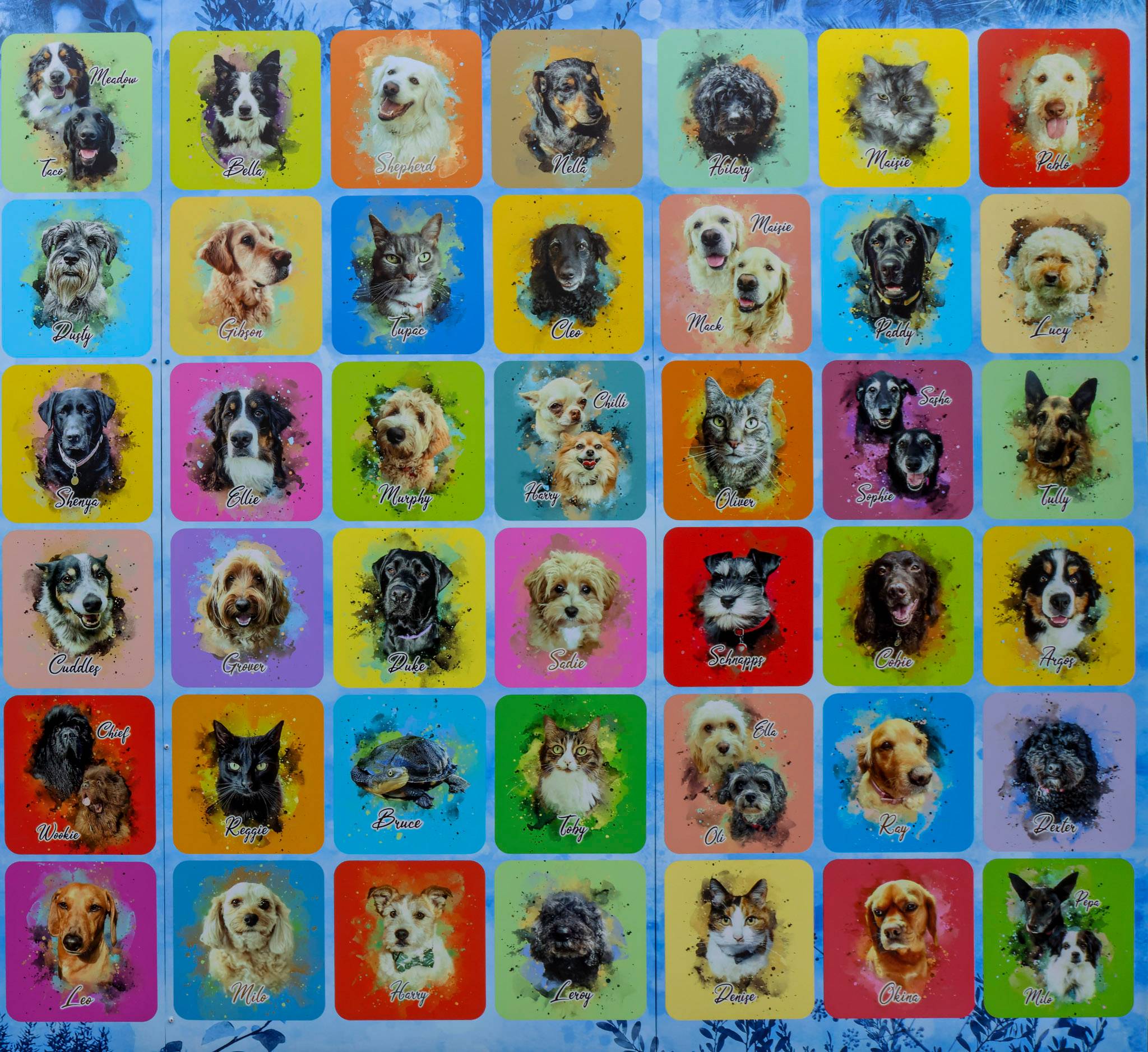 Warren Fox&mdash;Beaumaris Pet Wall