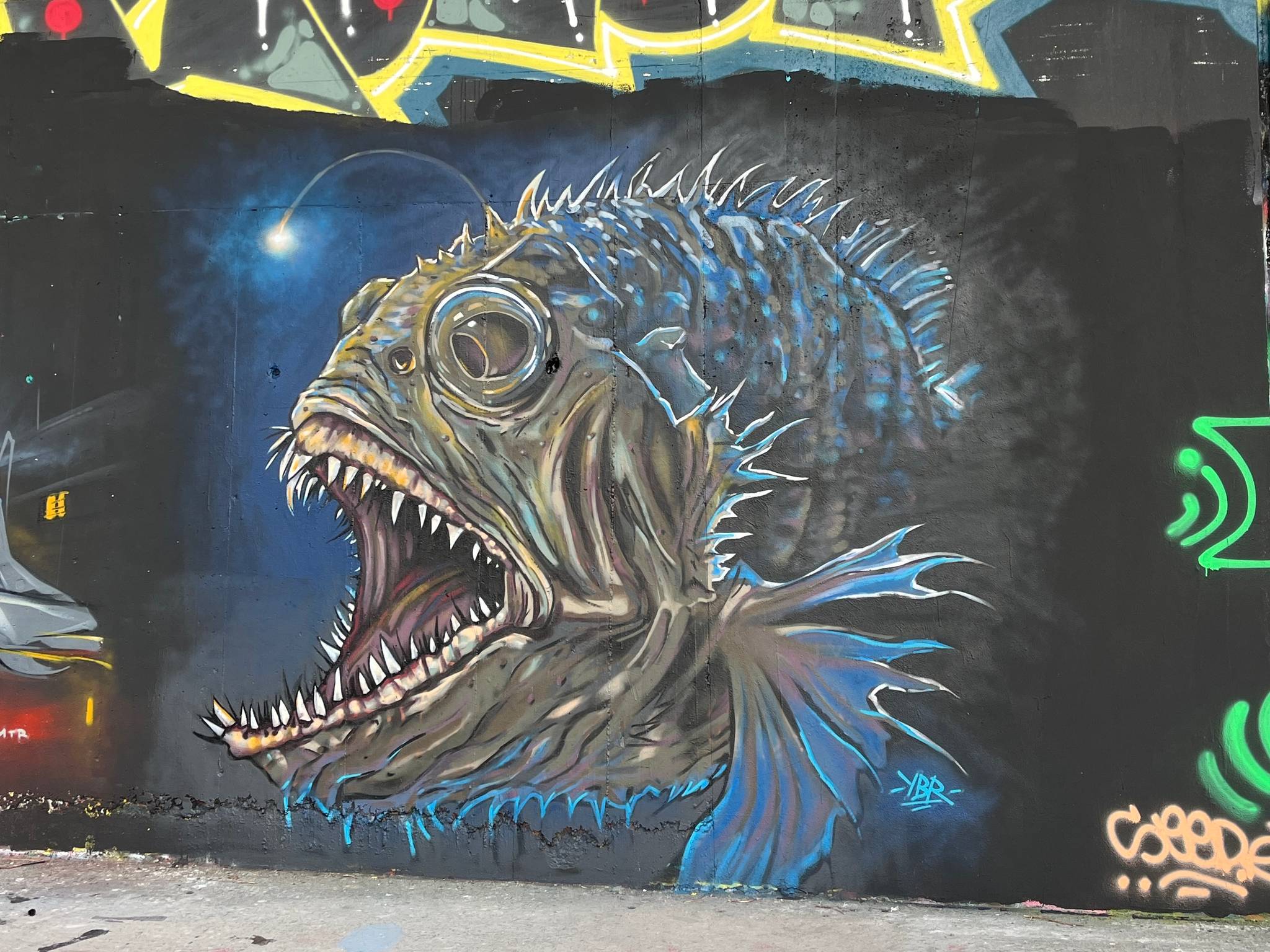 Ybr_shc&mdash;Deep sea anglerfish