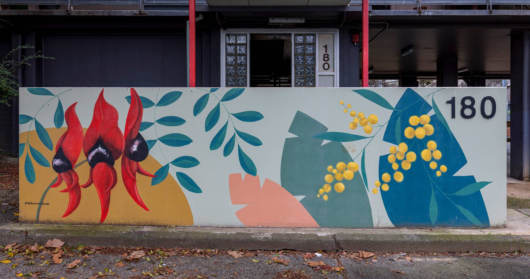 Melbourne's Murals&mdash;Sturt's Desert Pea and Wattle