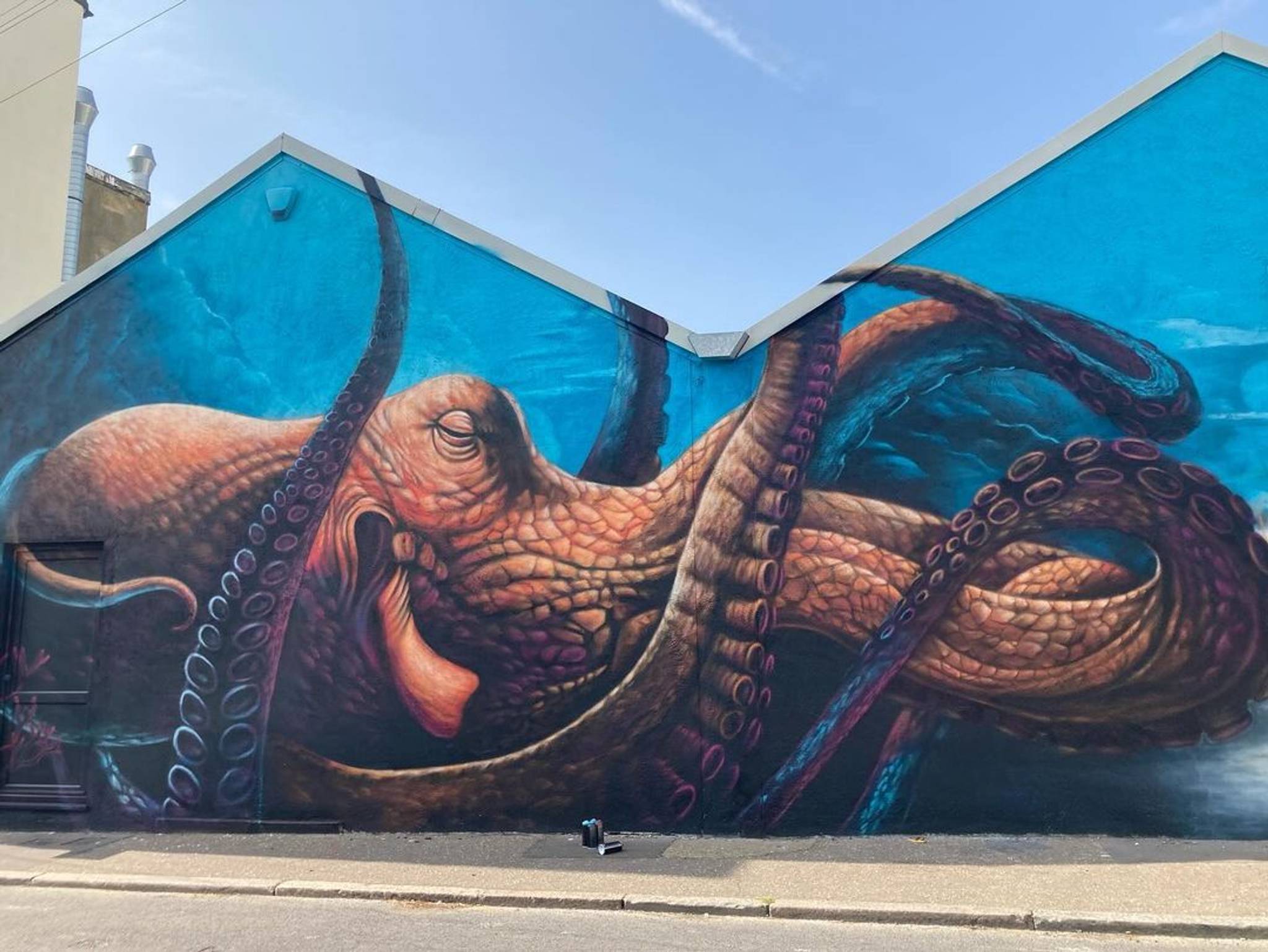 SpraySaint&mdash;Stunning octopus