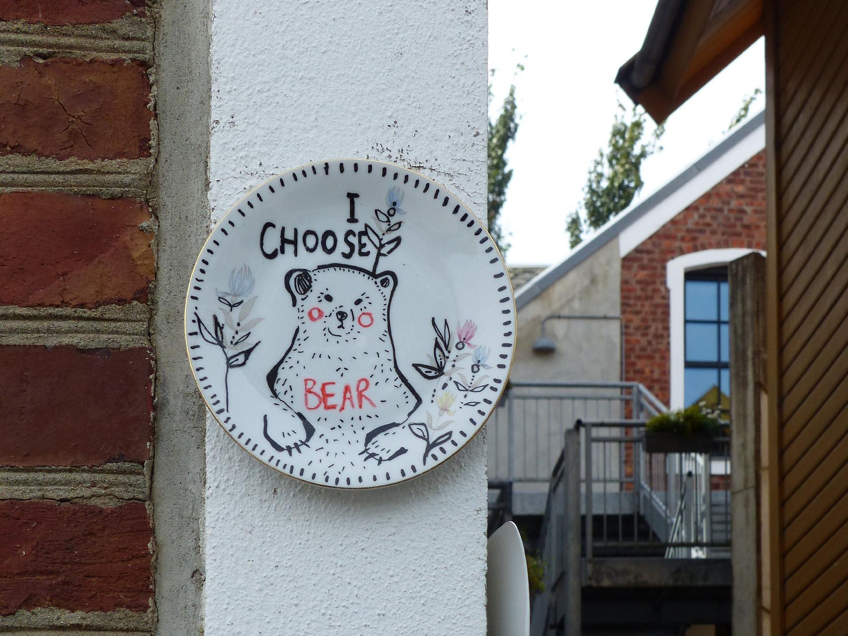 Dish, Hello the Mushroom—Man or Bear?