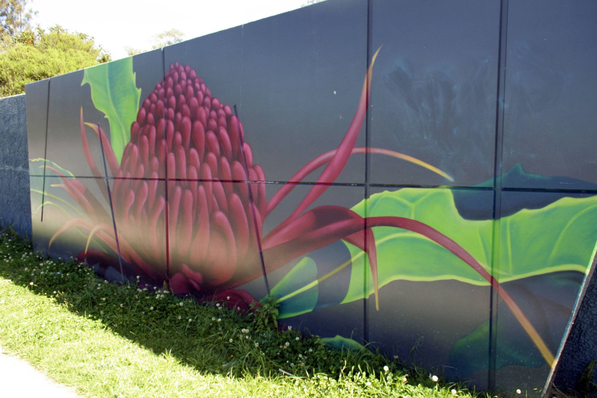 Urban Art Australia&mdash;Waratah