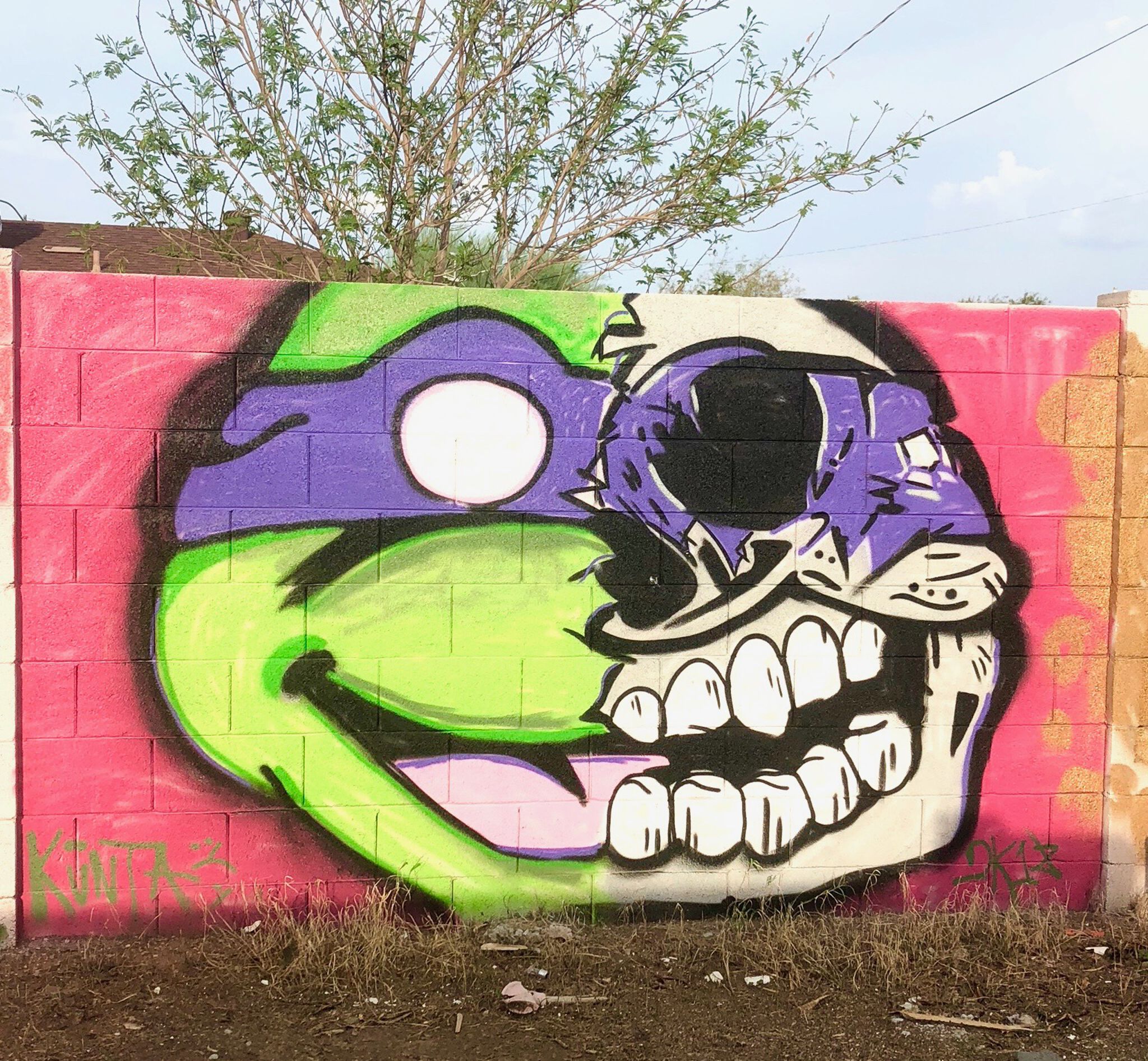 Deadturtlez&mdash;Dead Donatello