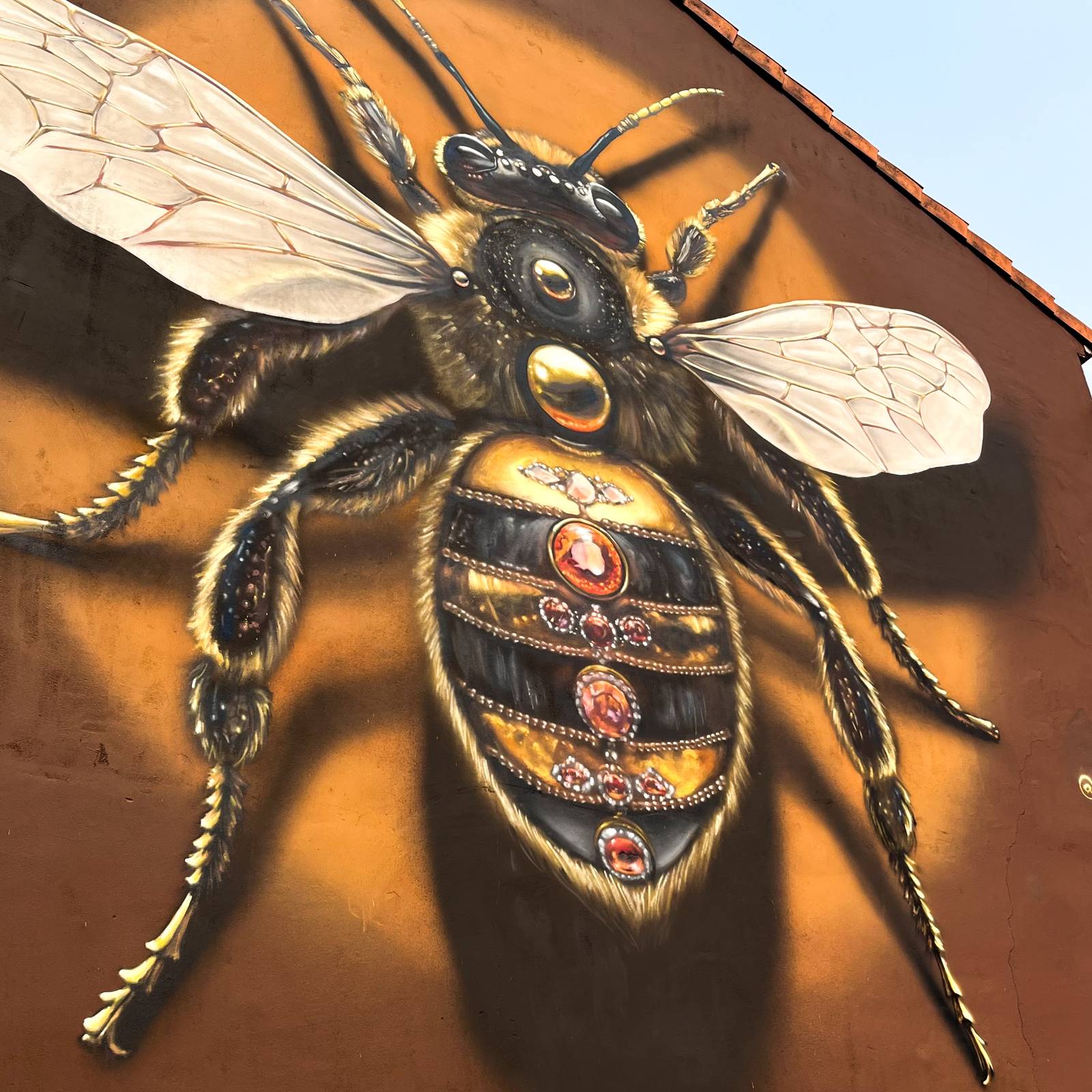 Häcko Crâne—Queen Bee