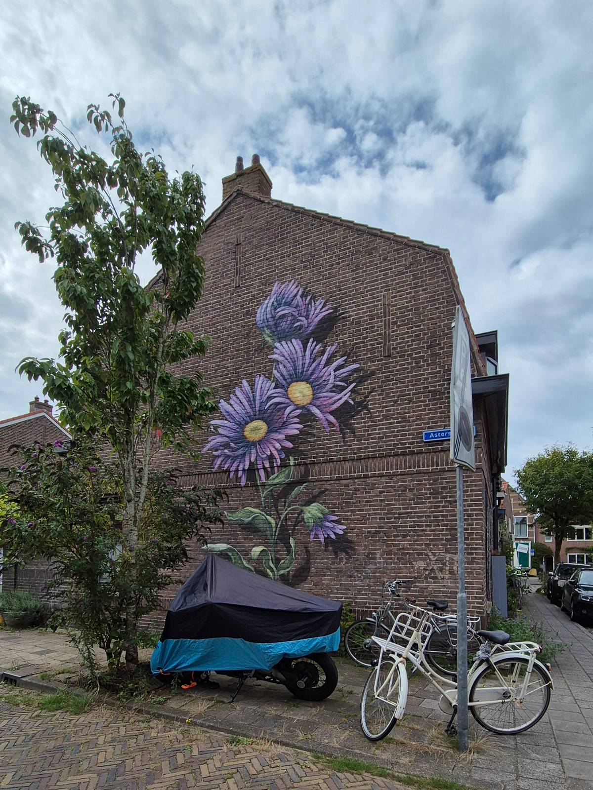 Lonneke van Zutphen—undefined