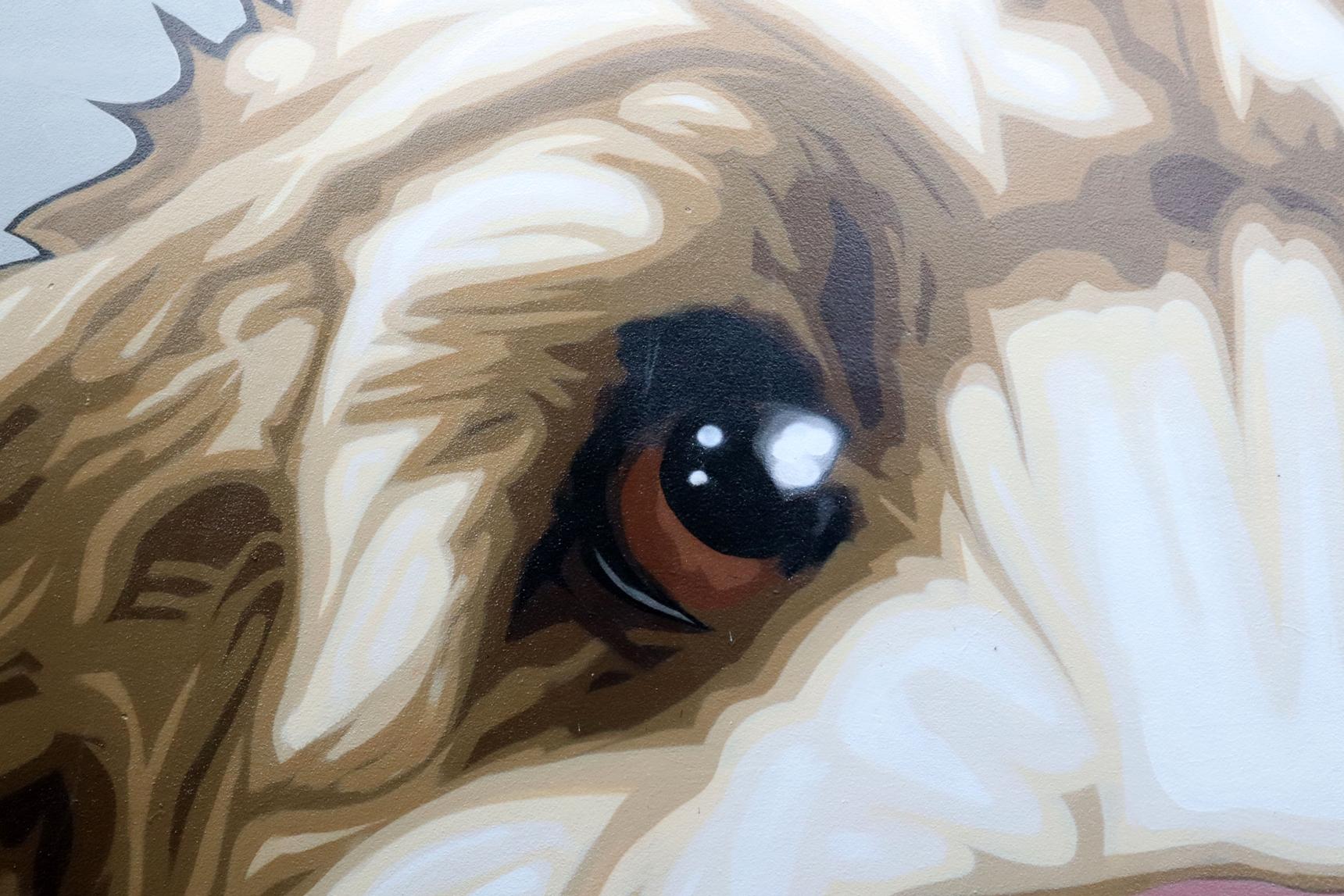 ELK—Dean the Cavoodle
