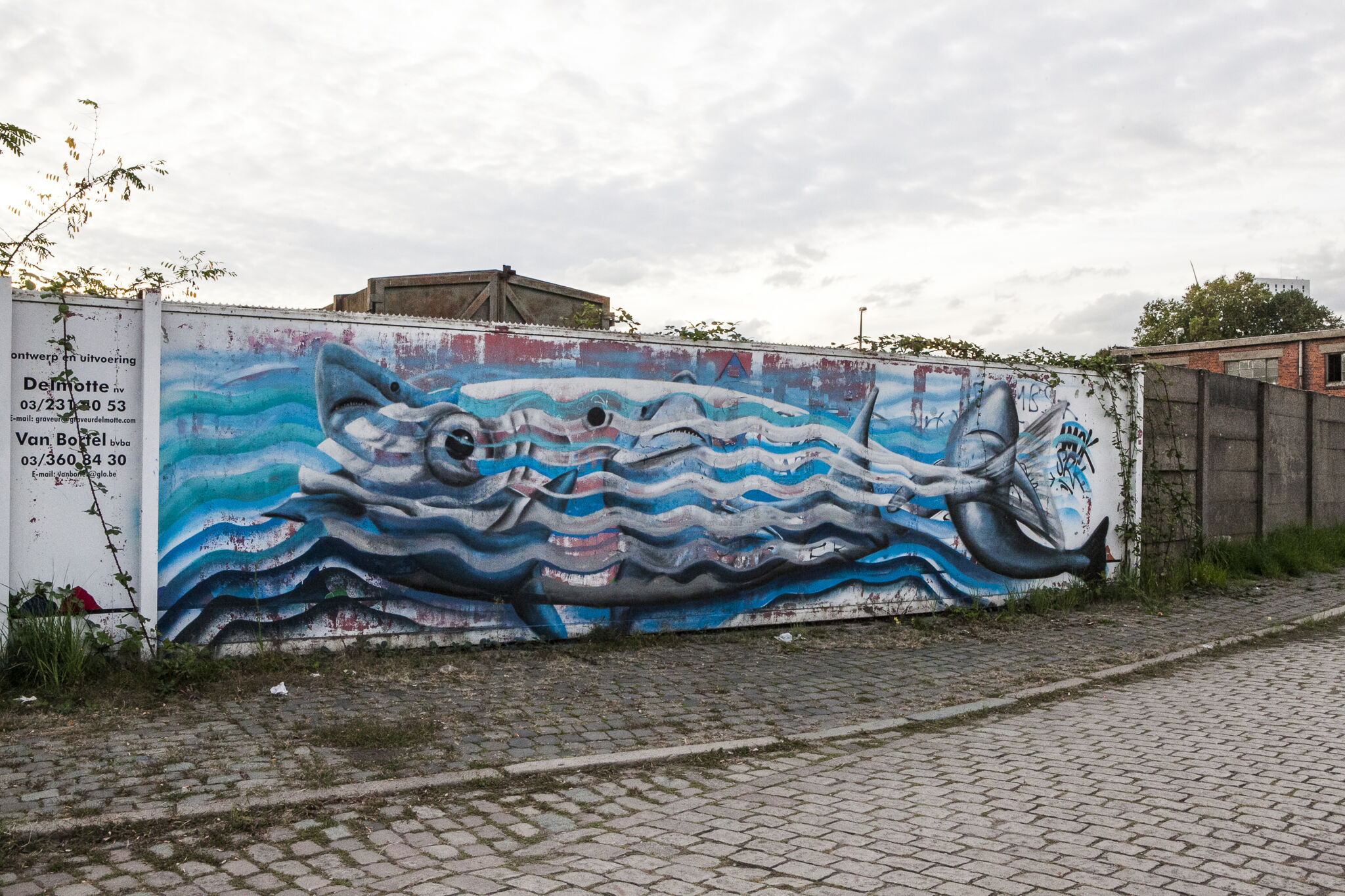 Cee Pil, Street Art Antwerp&mdash;Tizarte 2018 - Sharkfish