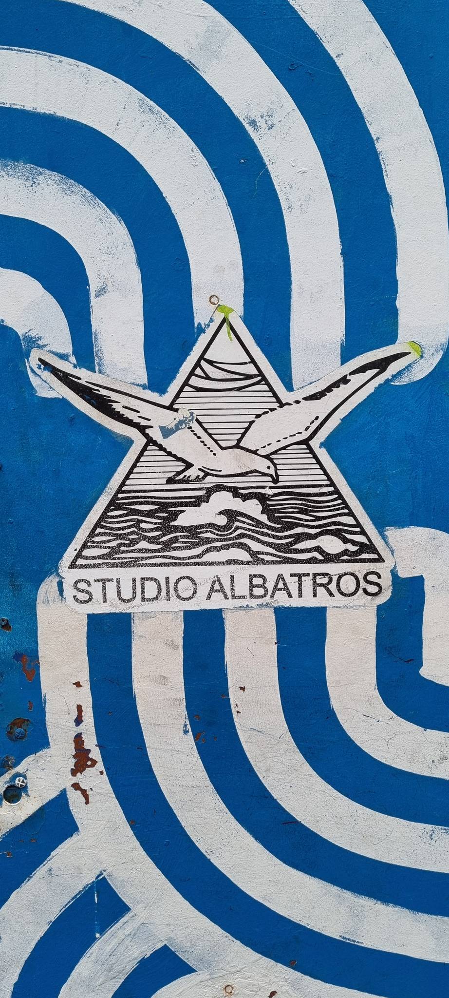 &mdash;Studio Albatros