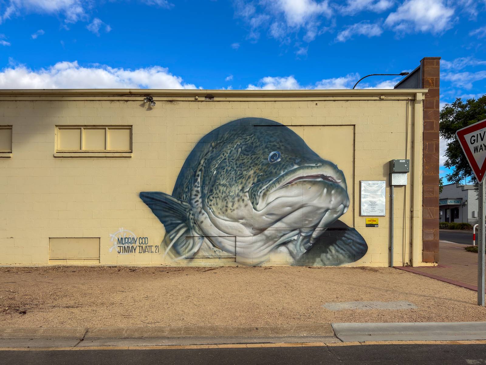Dvate—The Murray Cod