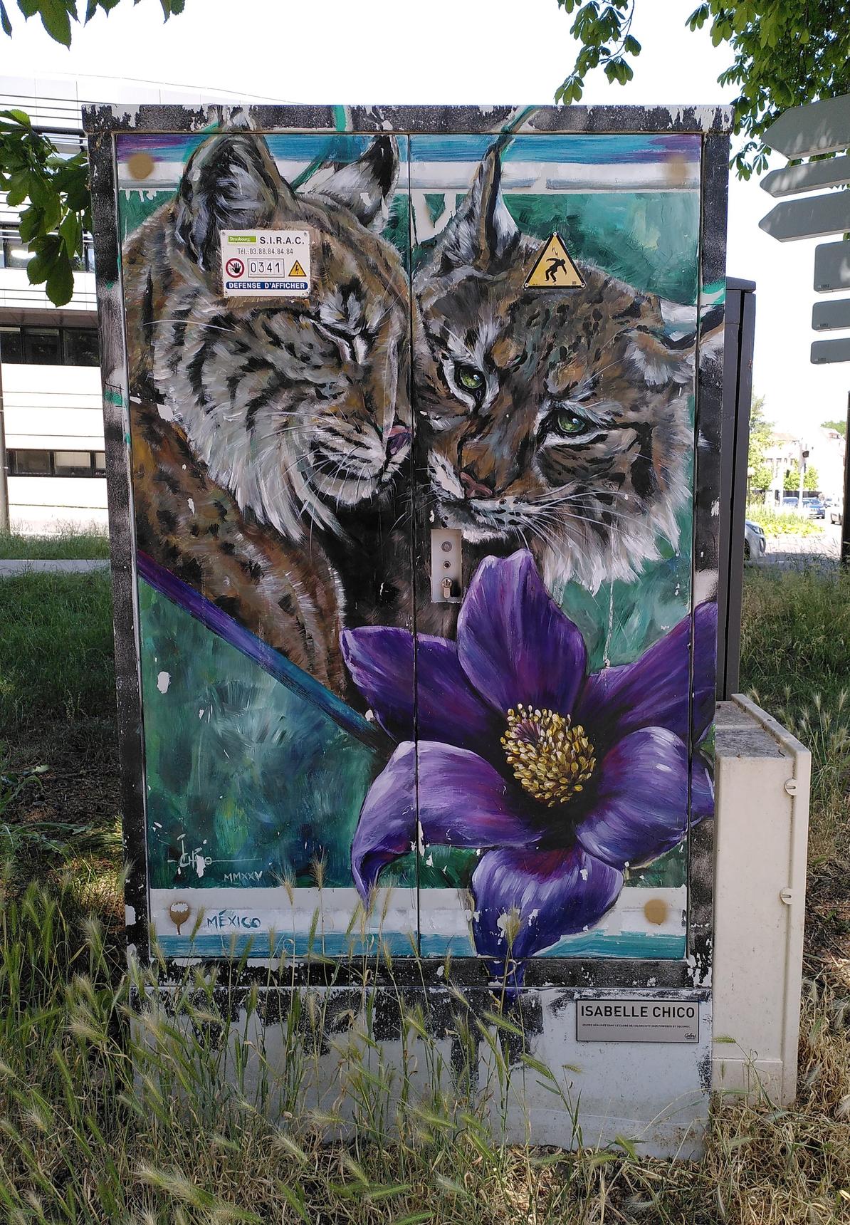 Ichicoart (Isabelle Chico)—Lynxes and pasqueflowers