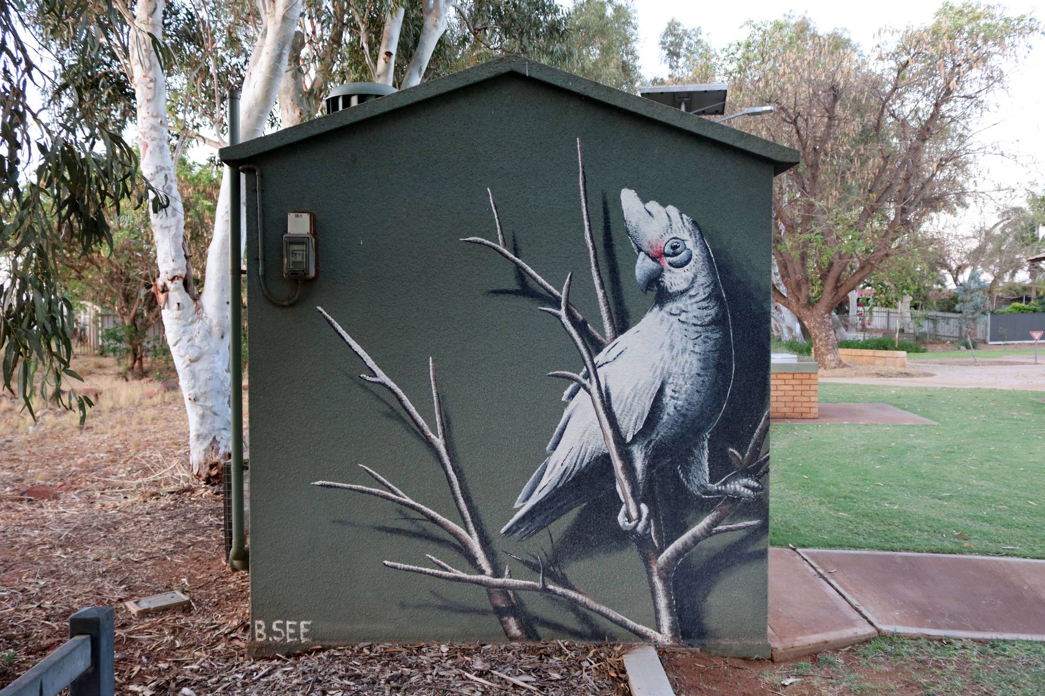 Brenton See&mdash;Little Corella